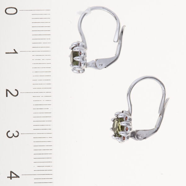 Orecchini in argento con moldaviti e granati 2125-4