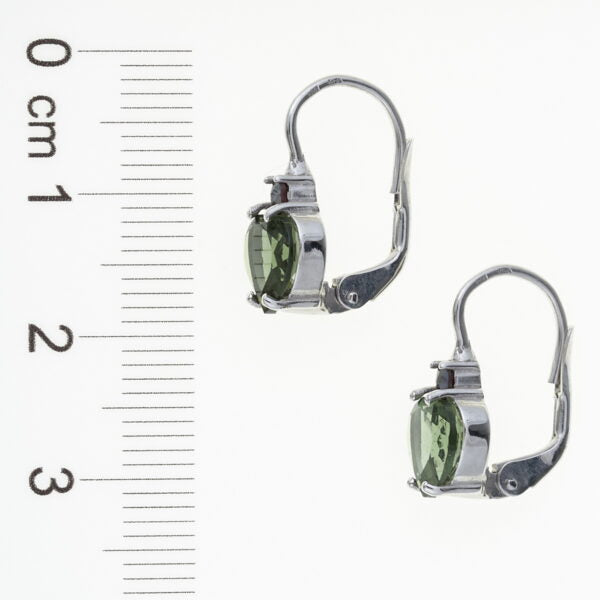 Orecchini in argento con moldavite e granati – cuore 172G