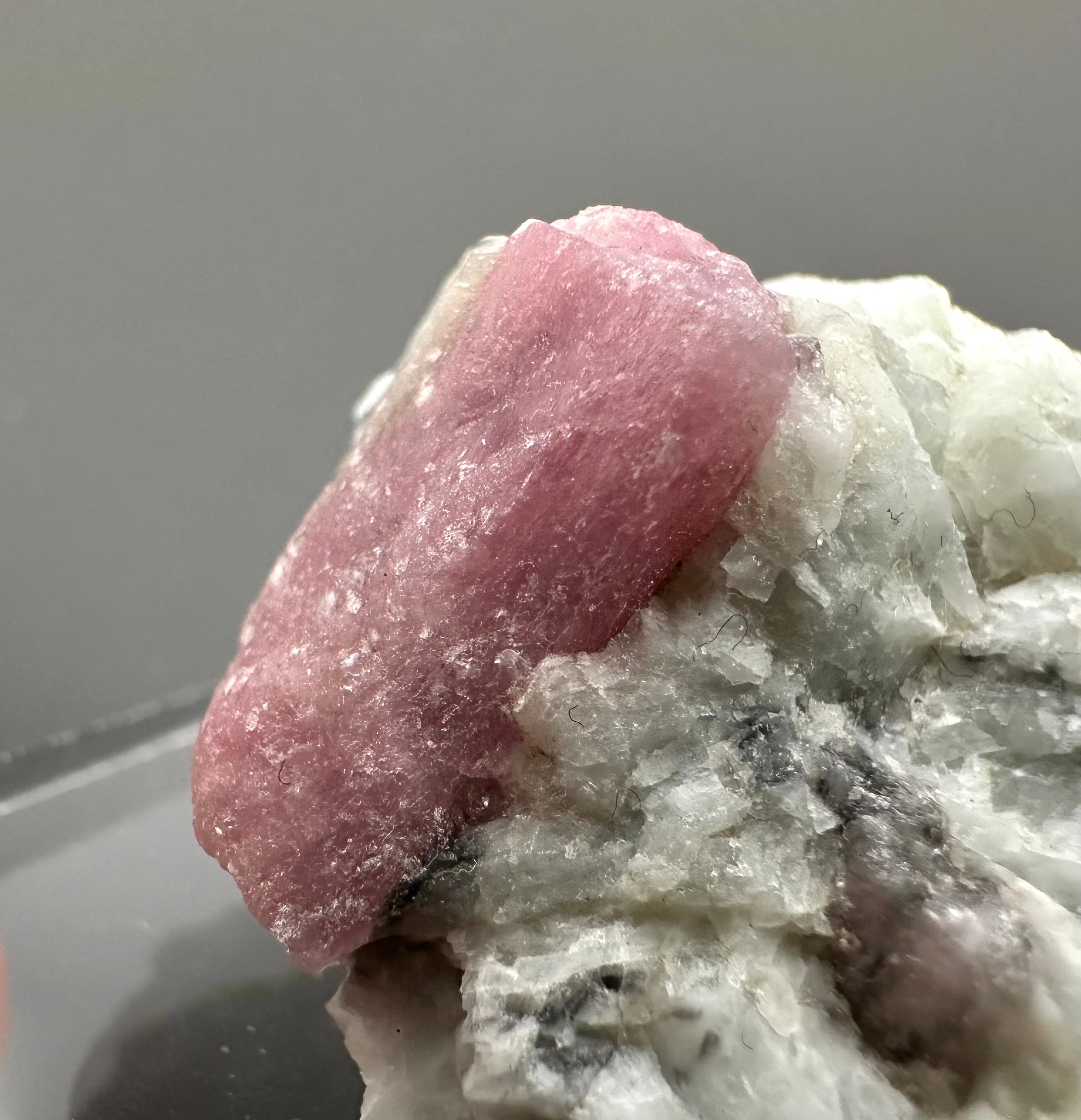 Rubellite – Brazil - RU006
