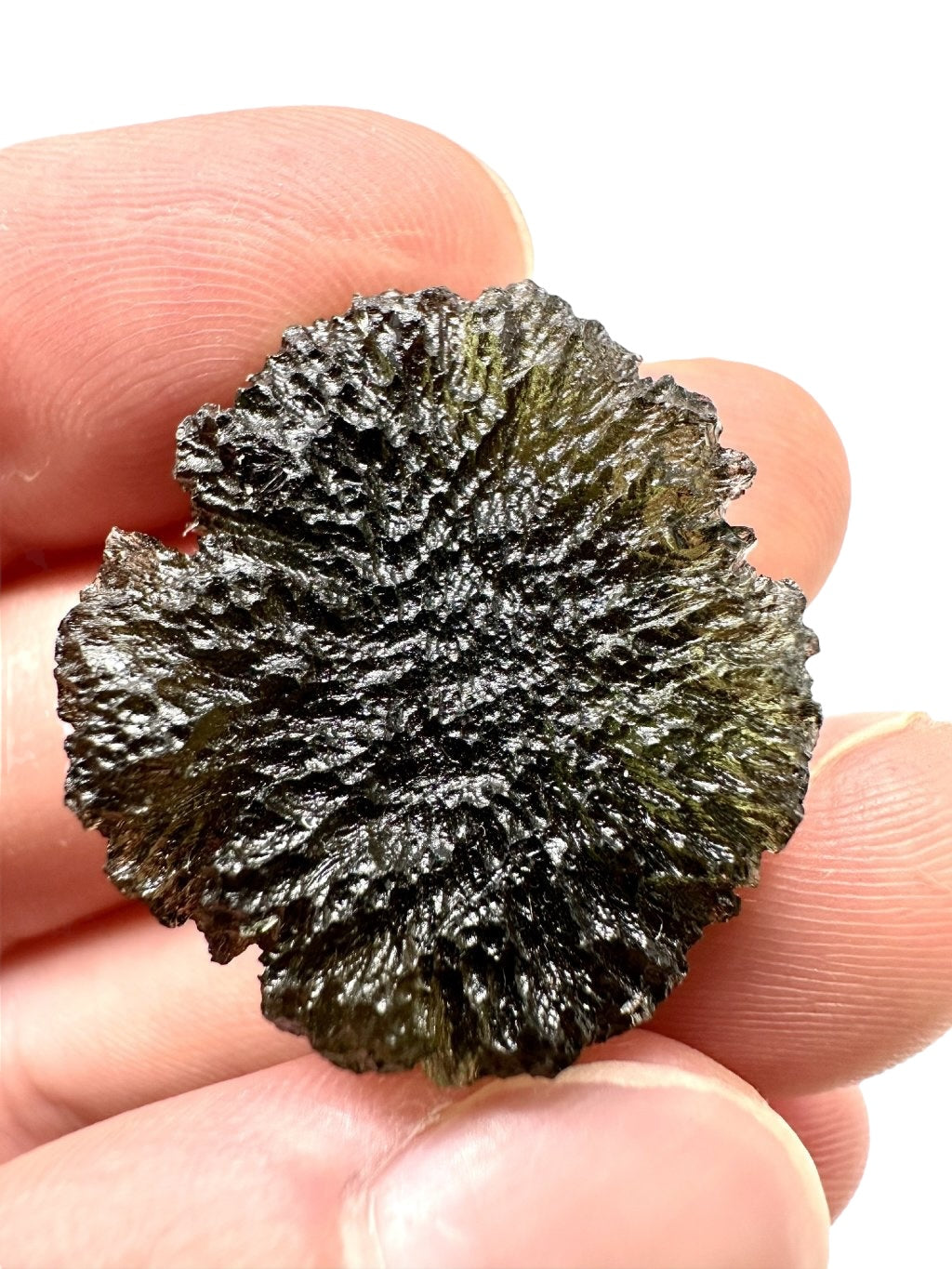 Moldavite a forma di disco