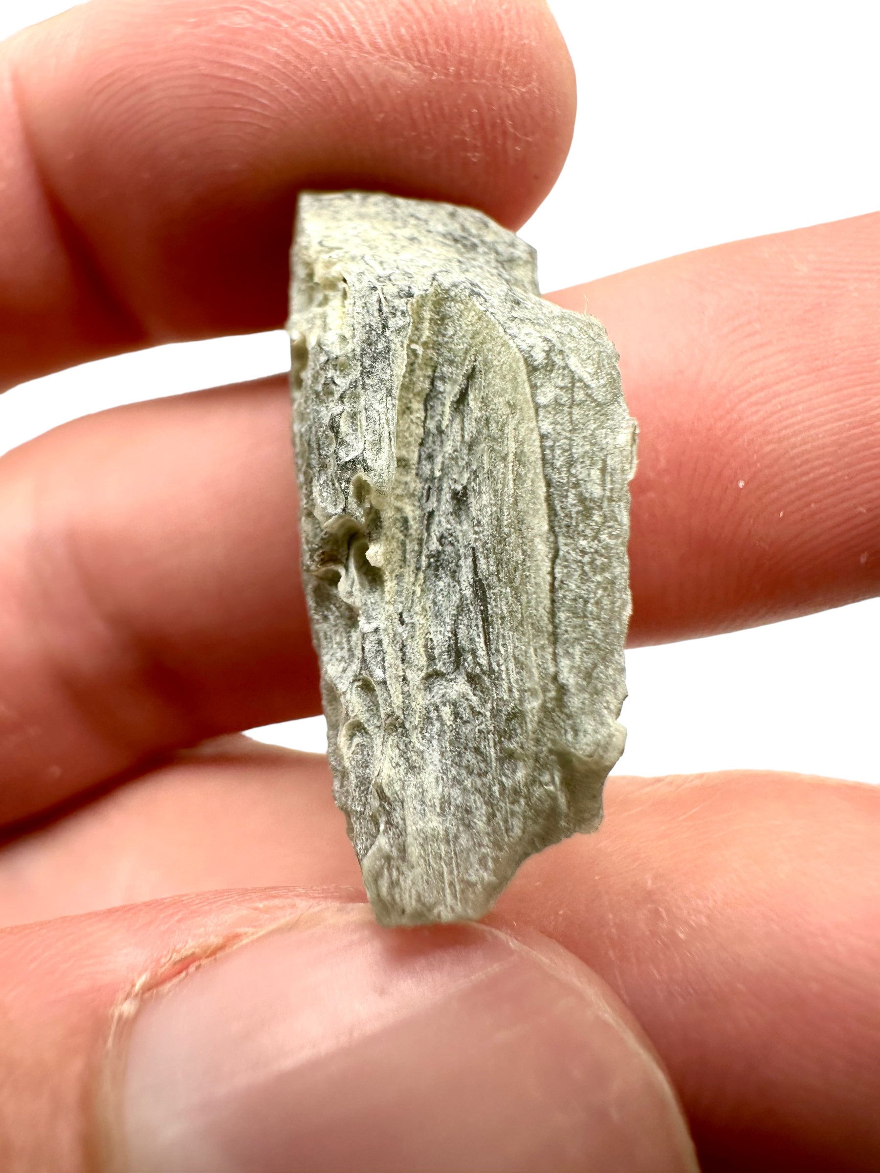Moldavite – Bartochov – 3,7g - V913