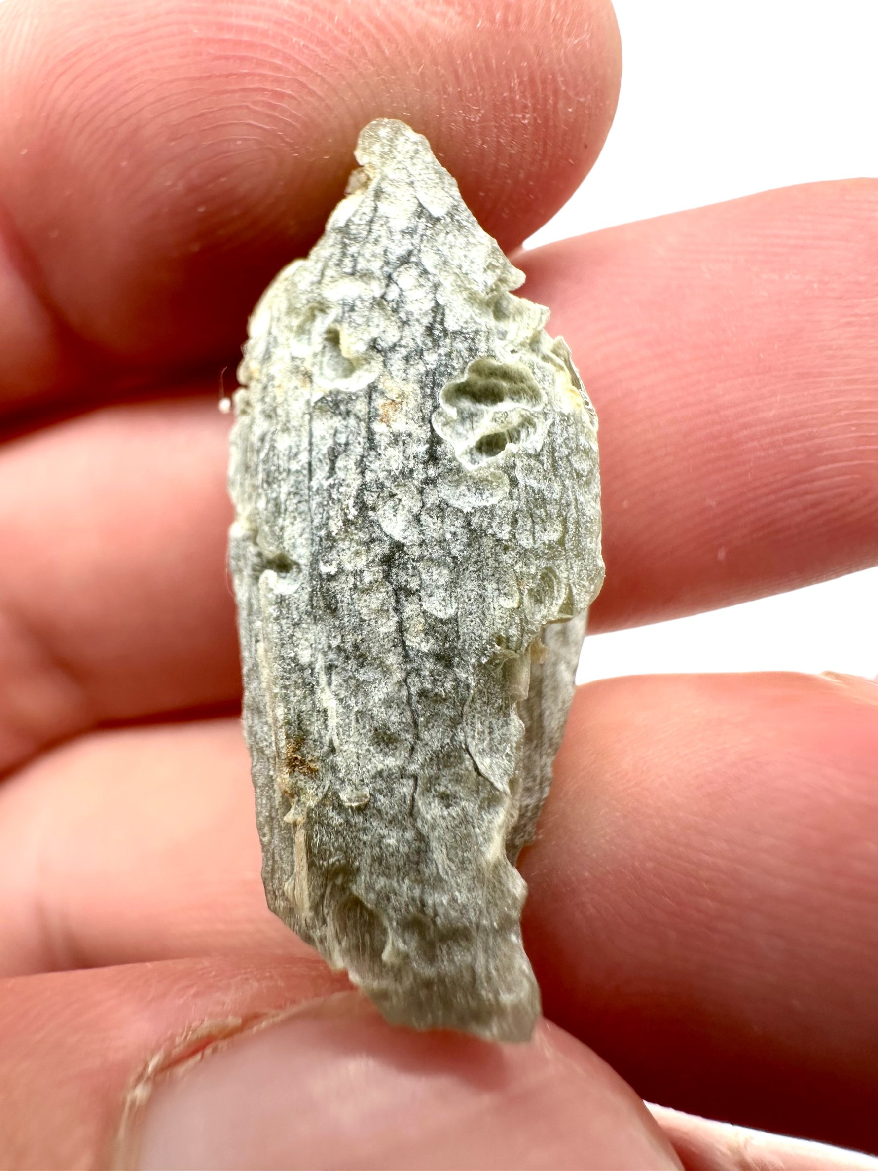 Moldavite – Bartochov – 3,7g - V913