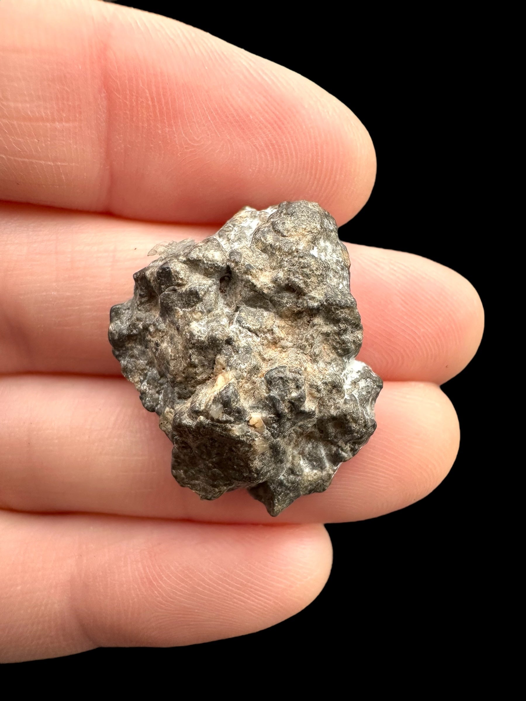 Lunar meteorite Bechar 003/006 – 4,6g – Algeria - MEBA25