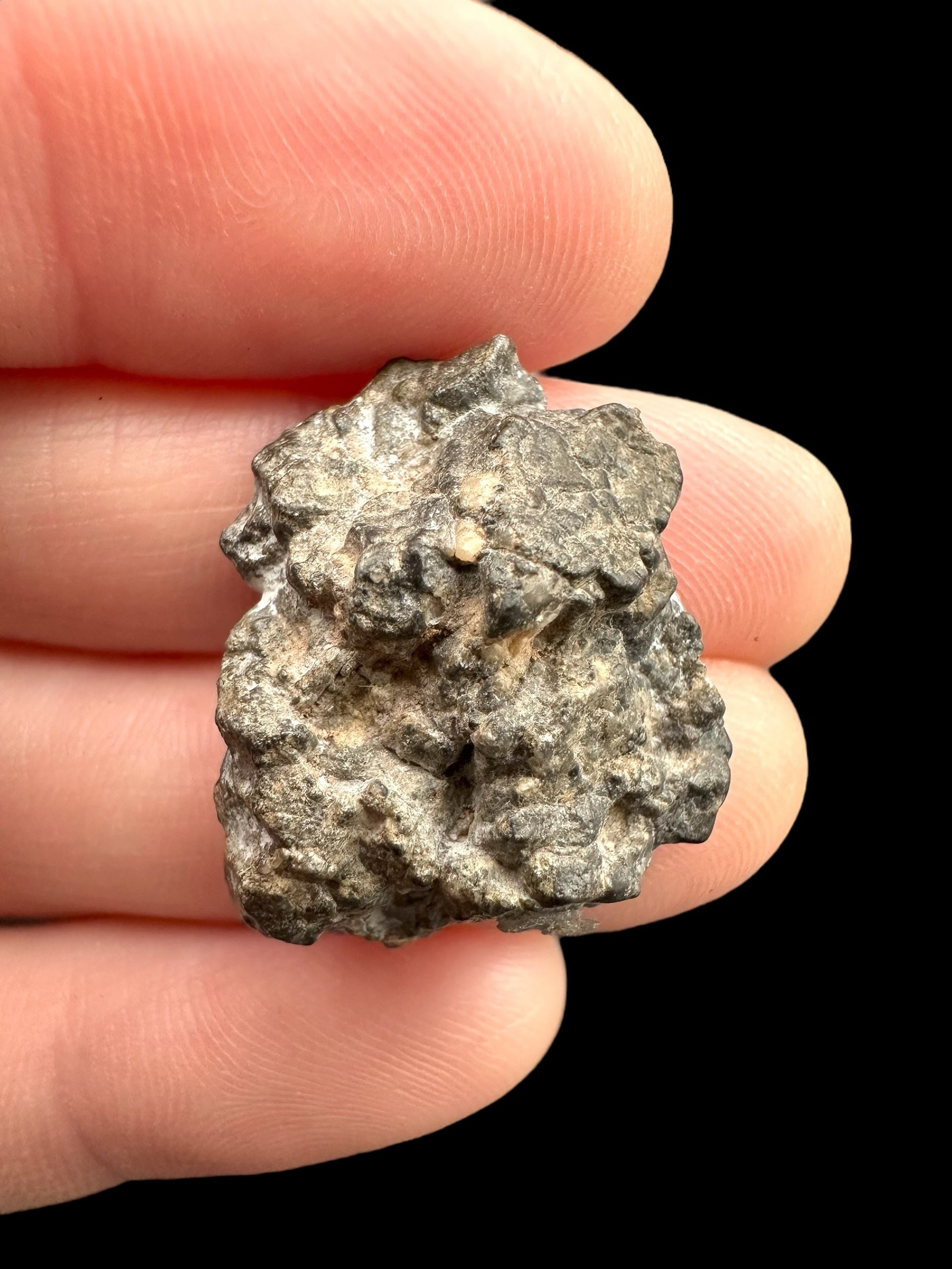 Lunar meteorite Bechar 003/006 – 4,6g – Algeria - MEBA25