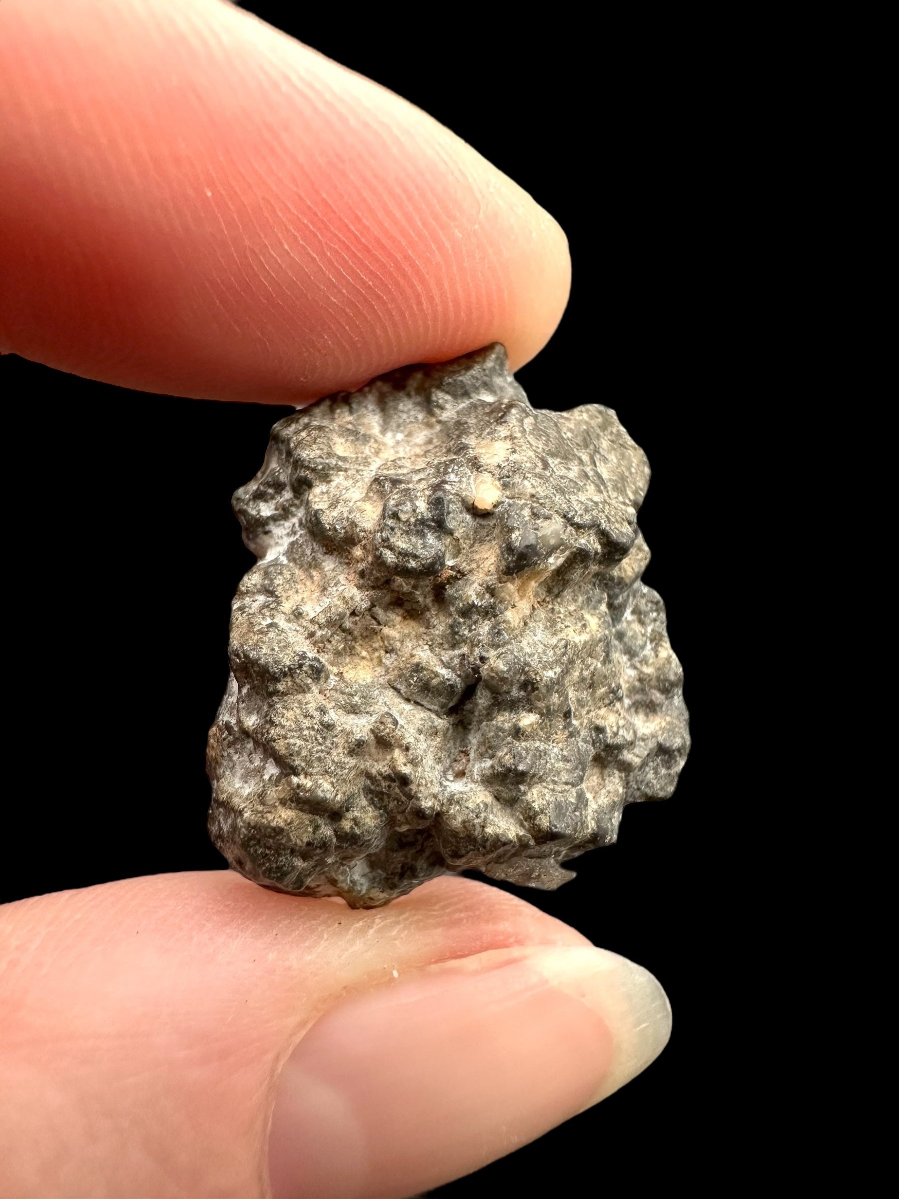 Lunar meteorite Bechar 003/006 – 4,6g – Algeria - MEBA25