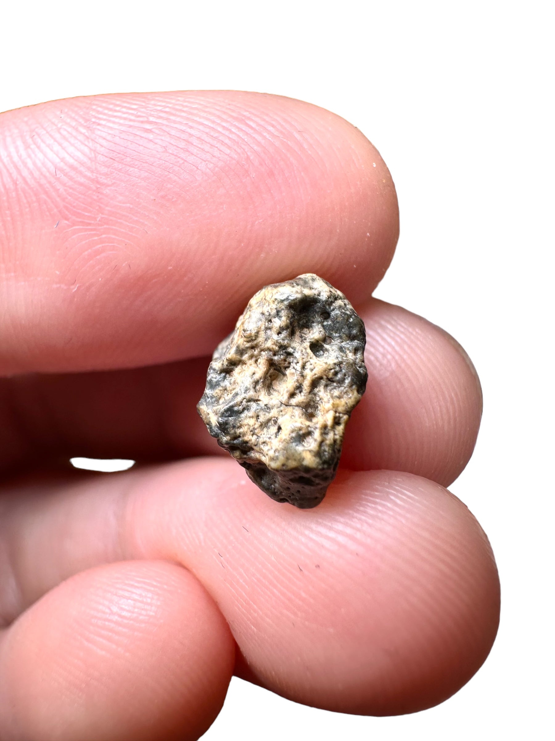 Lunar meteorite Bechar 003/006 – 0,8g – Algeria