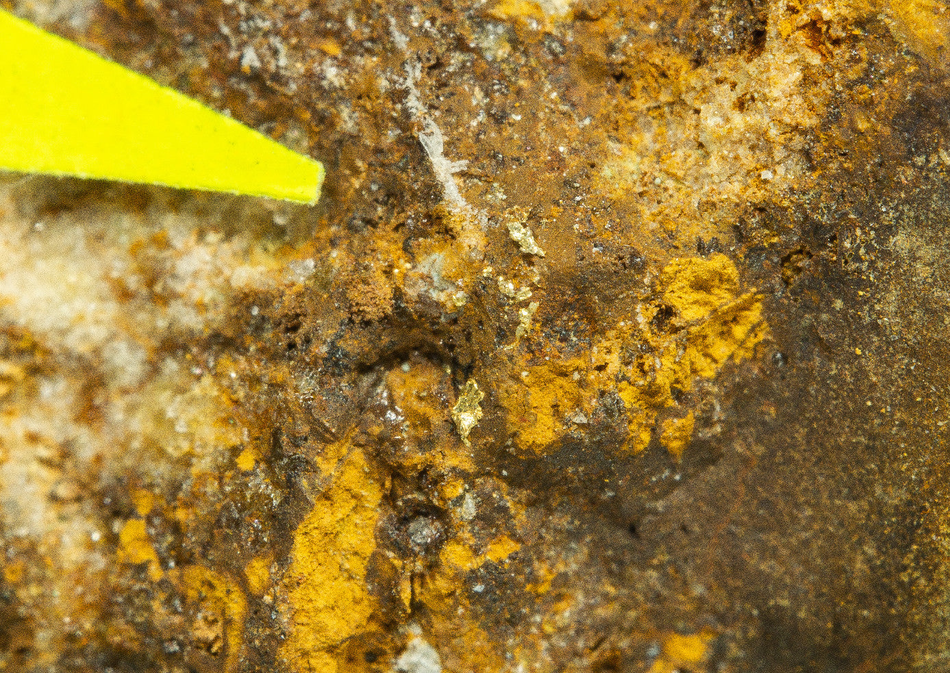 Gold – Zlate hory, CZ - ZL005