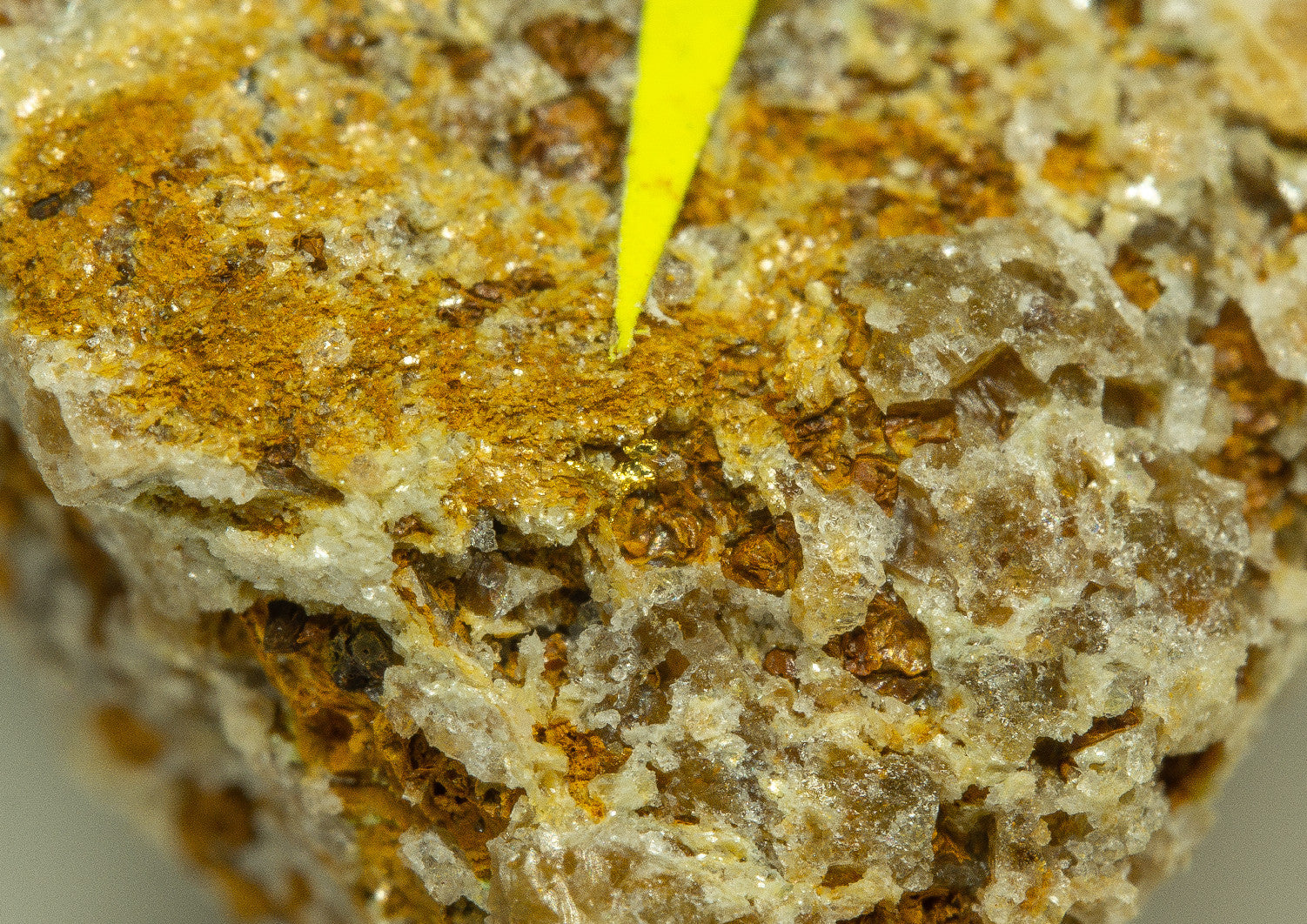 Gold – Zlate hory, CZ - ZL008