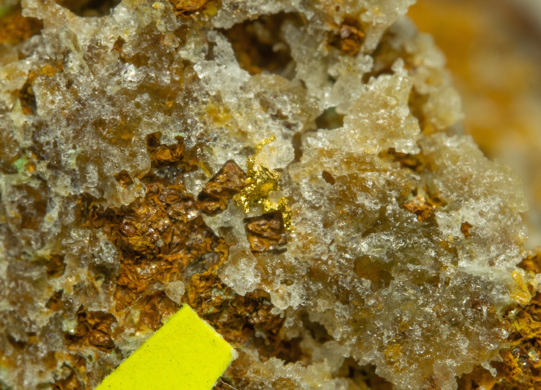 Gold – Zlate hory, CZ - ZL008