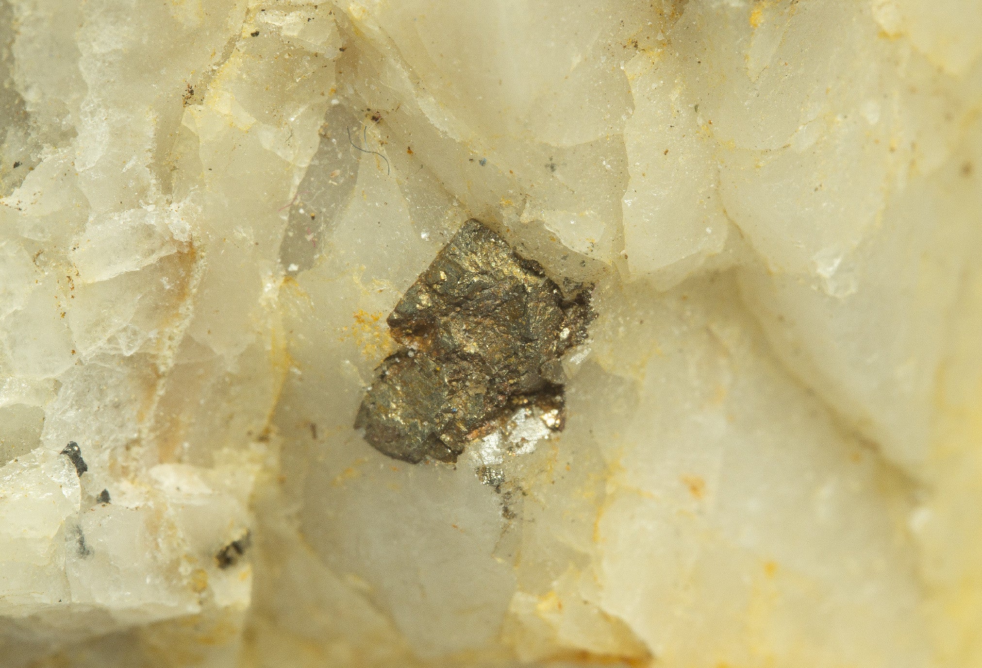 Gold – Jilove u Prahy, CZ - ZL017