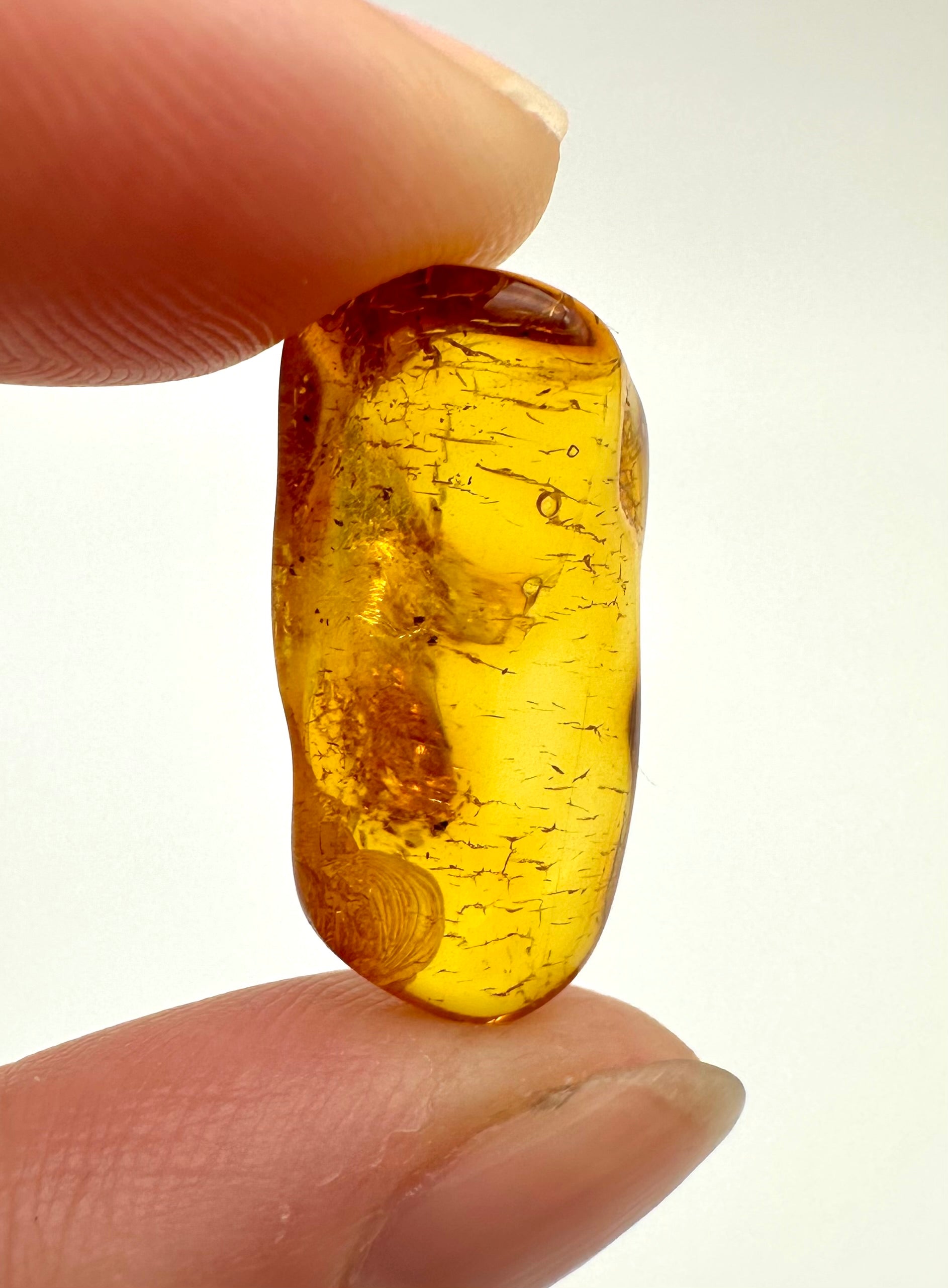 Amber 1,1g – Gdańsk, Poland - JN056