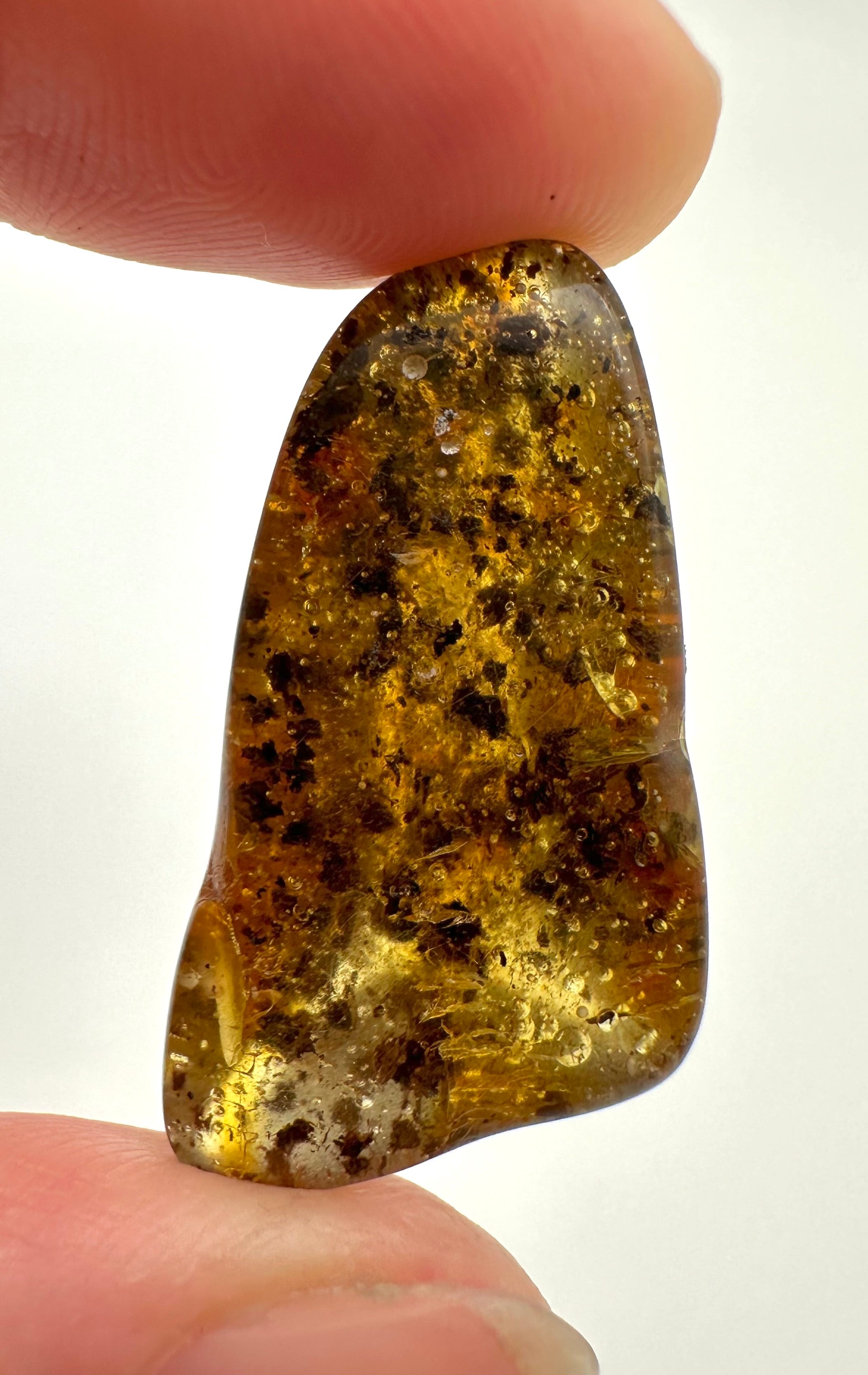 Amber 3g – Gdańsk, Poland - JN062