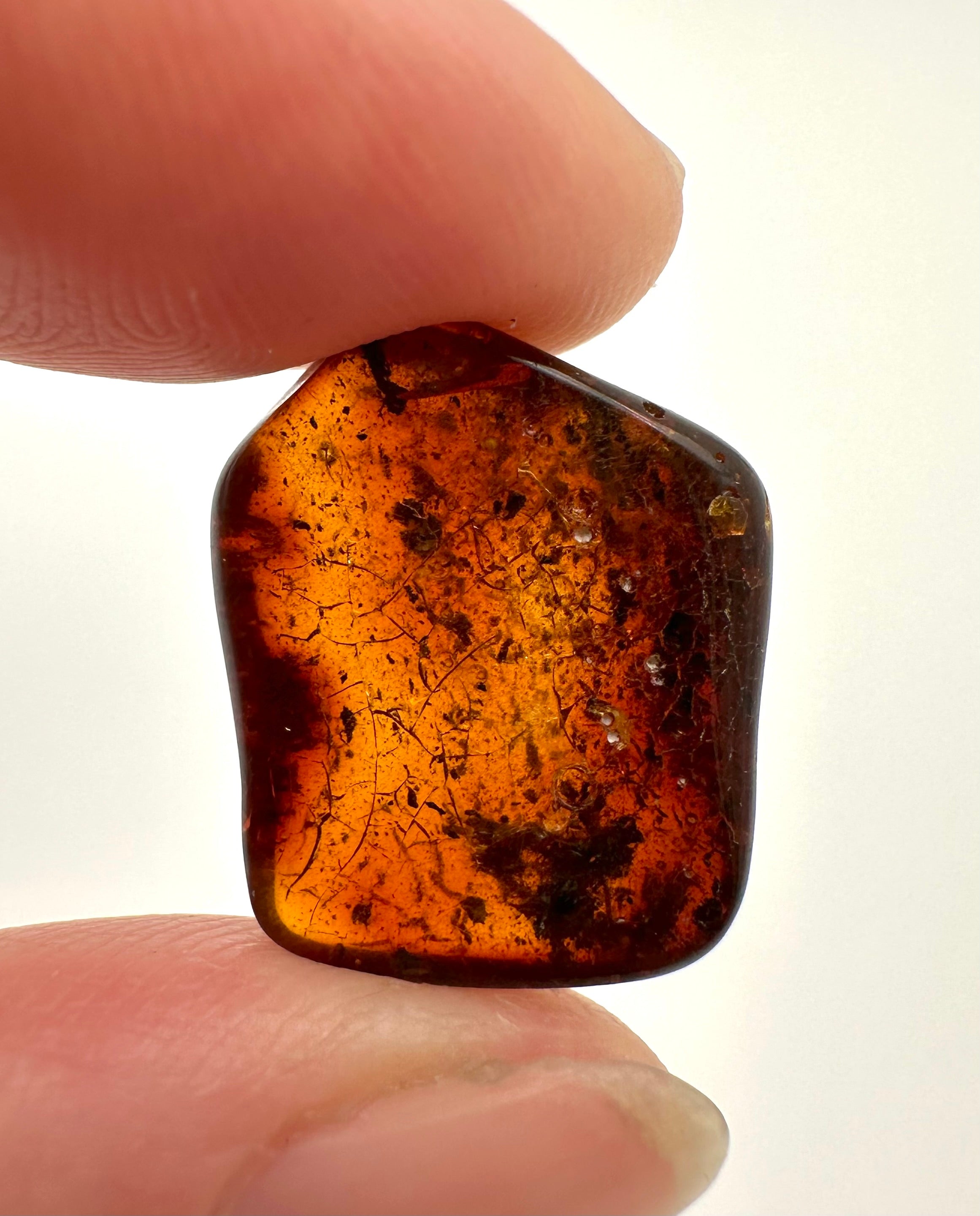 Amber 1,3g – Gdańsk, Poland - JN070