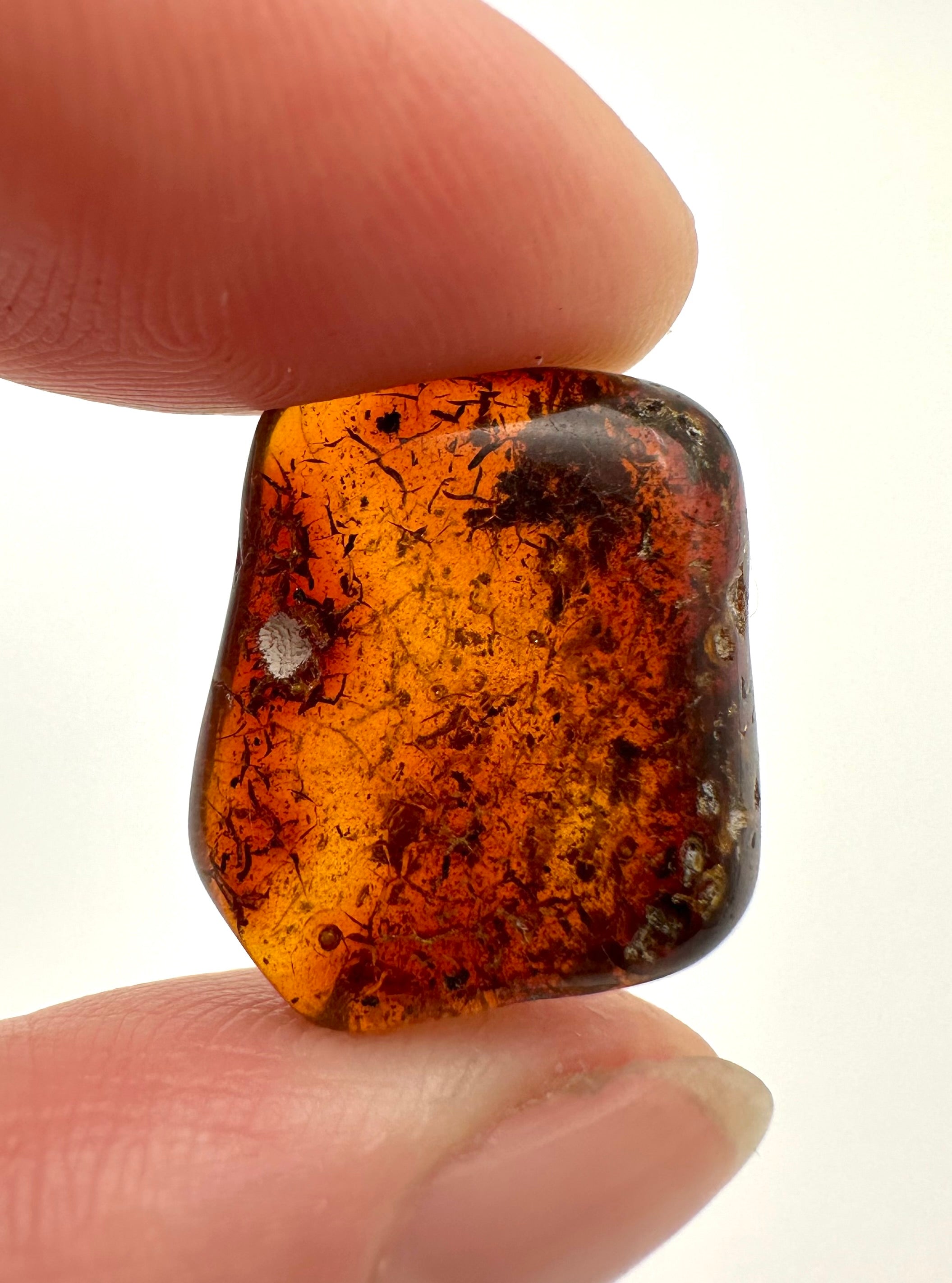 Amber 1,3g – Gdańsk, Poland