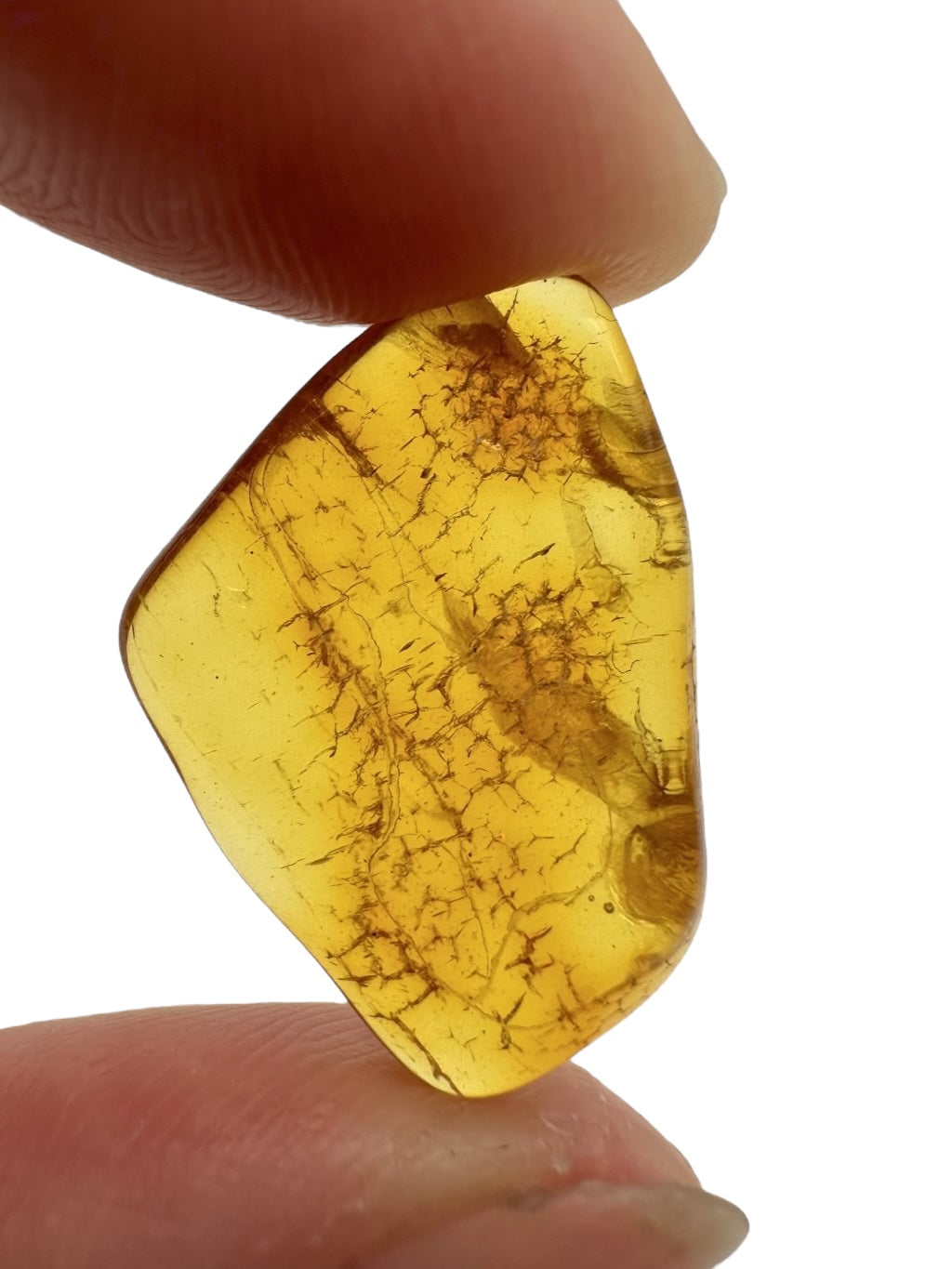 Amber 1g – Gdańsk, Poland - JN075