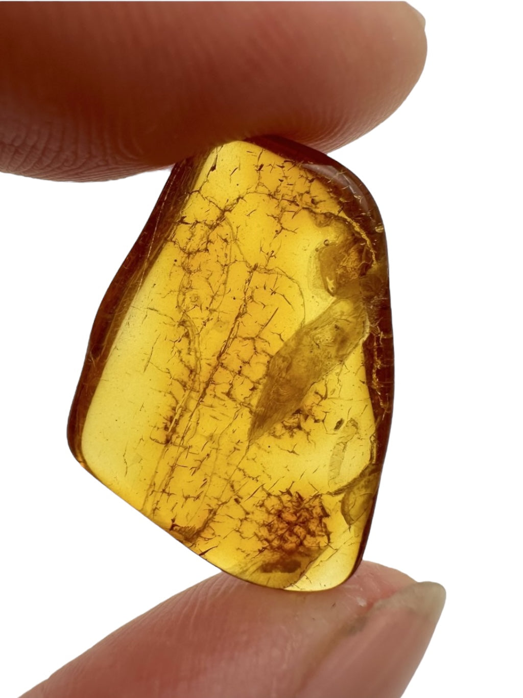 Amber 1g – Gdańsk, Poland - JN075