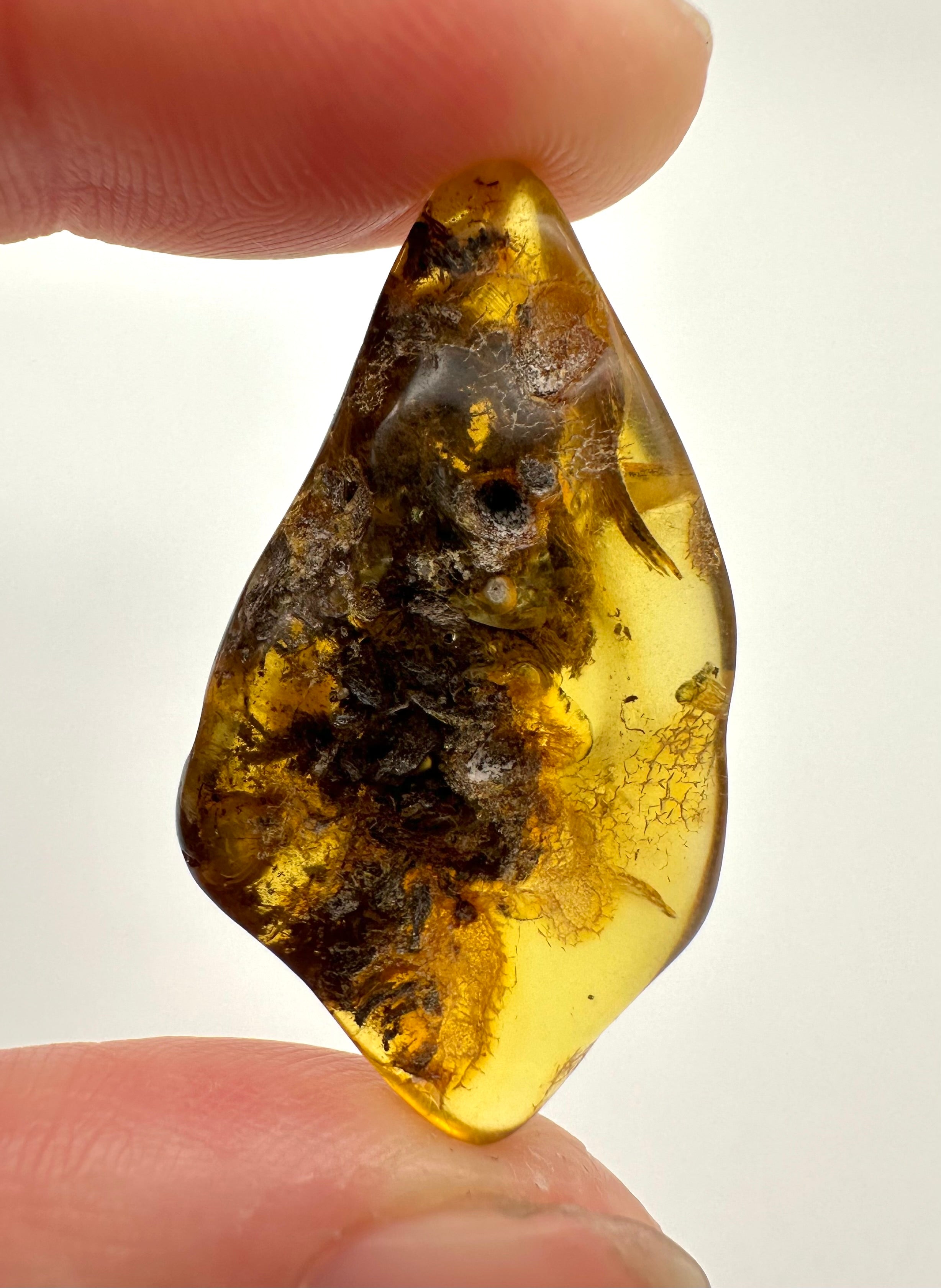 Amber 2,6g – Gdańsk, Poland - JN076