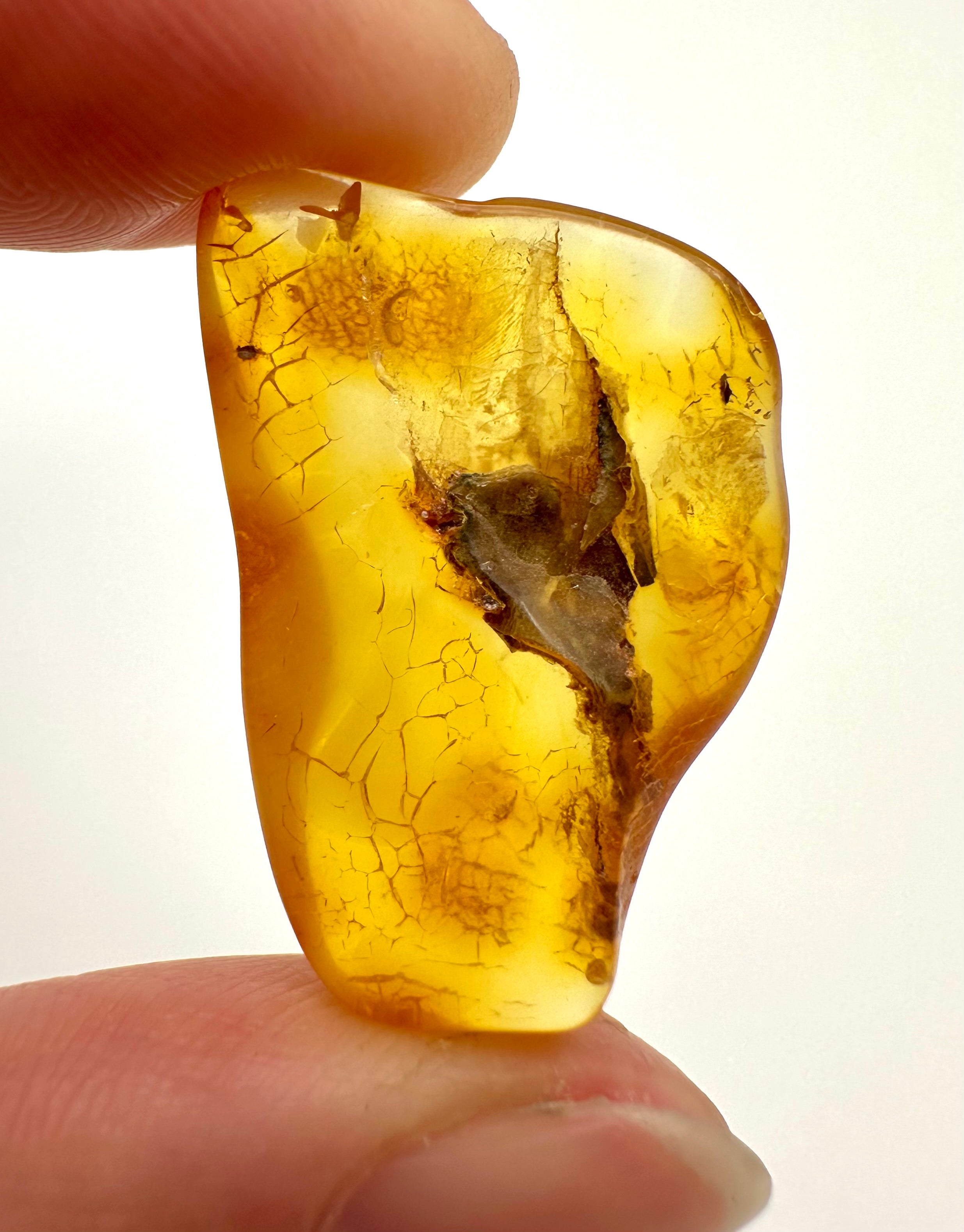 Amber 1,8g – Gdańsk, Poland