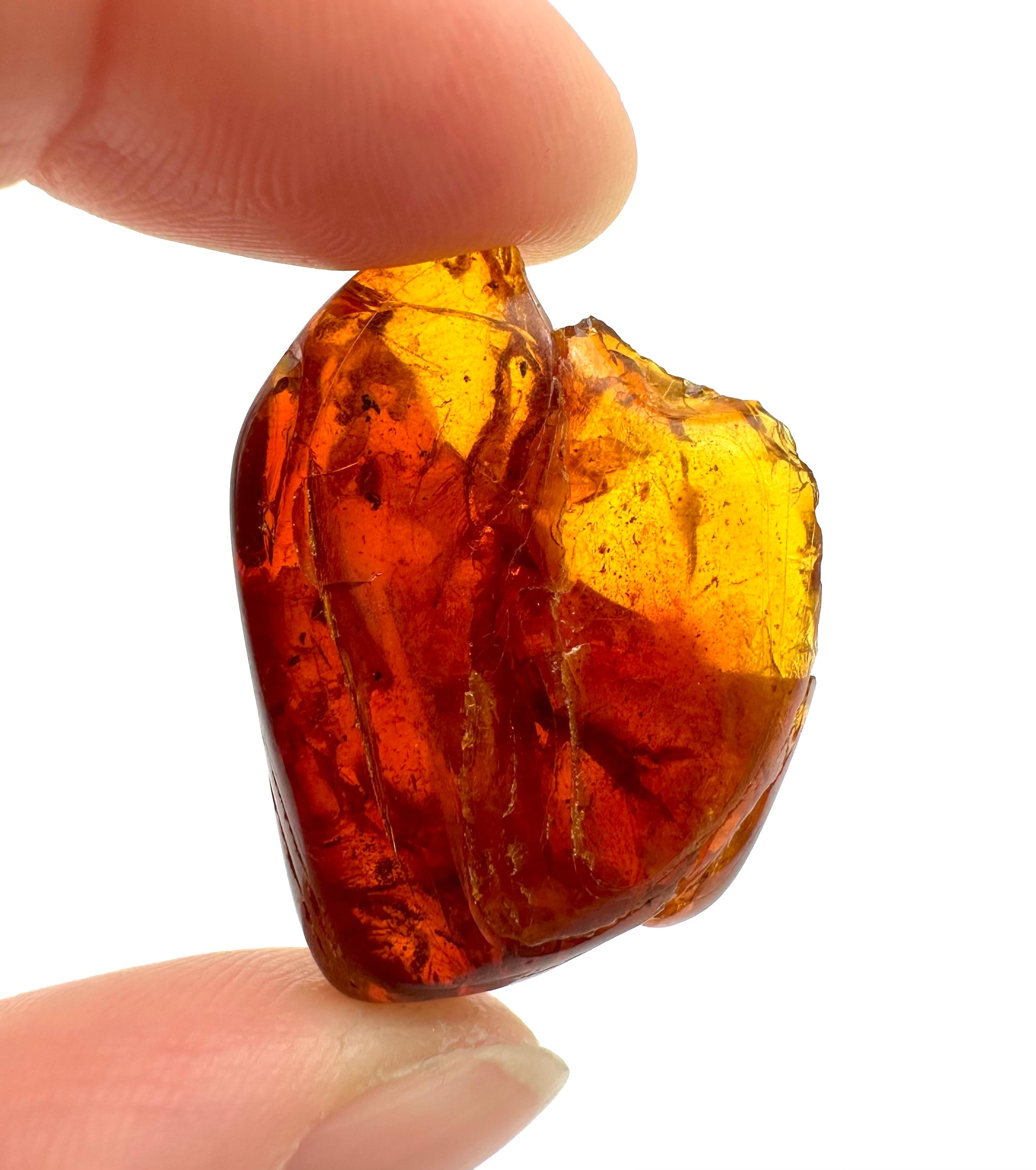 Amber 3,5g – Gdańsk, Poland