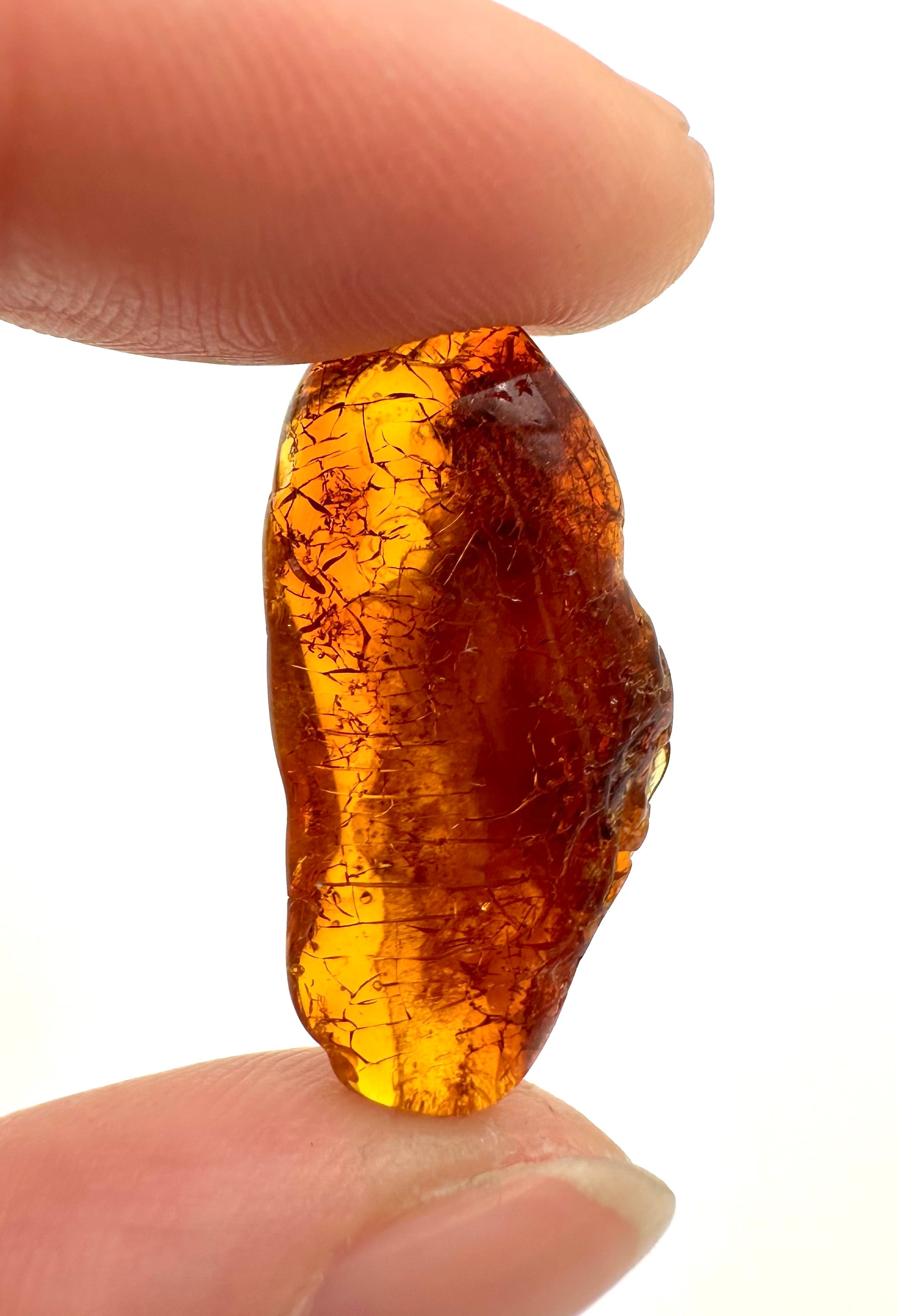 Amber 1,2g – Gdańsk, Poland