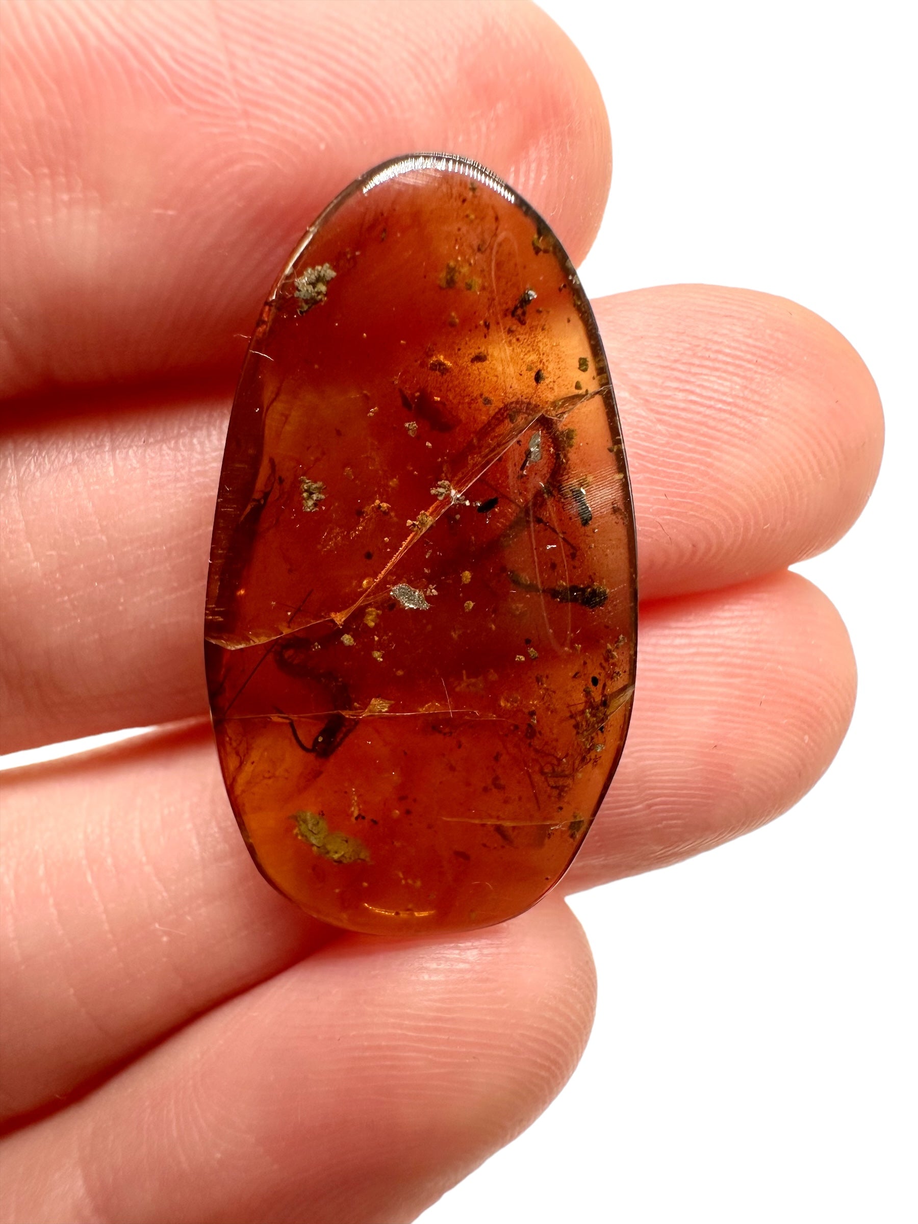 Centipede in amber – Hukawng, Myanmar - IJ002