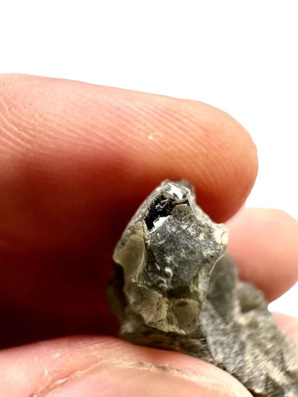 Moldavite – Brusna – 6g - V2403