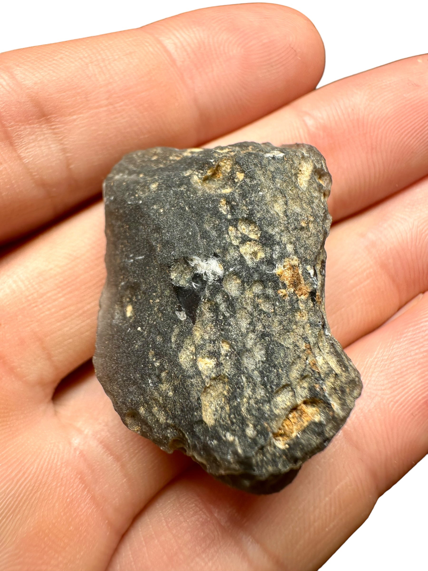 Obsidian 18,5g – Brehov, Slovakia - OB003