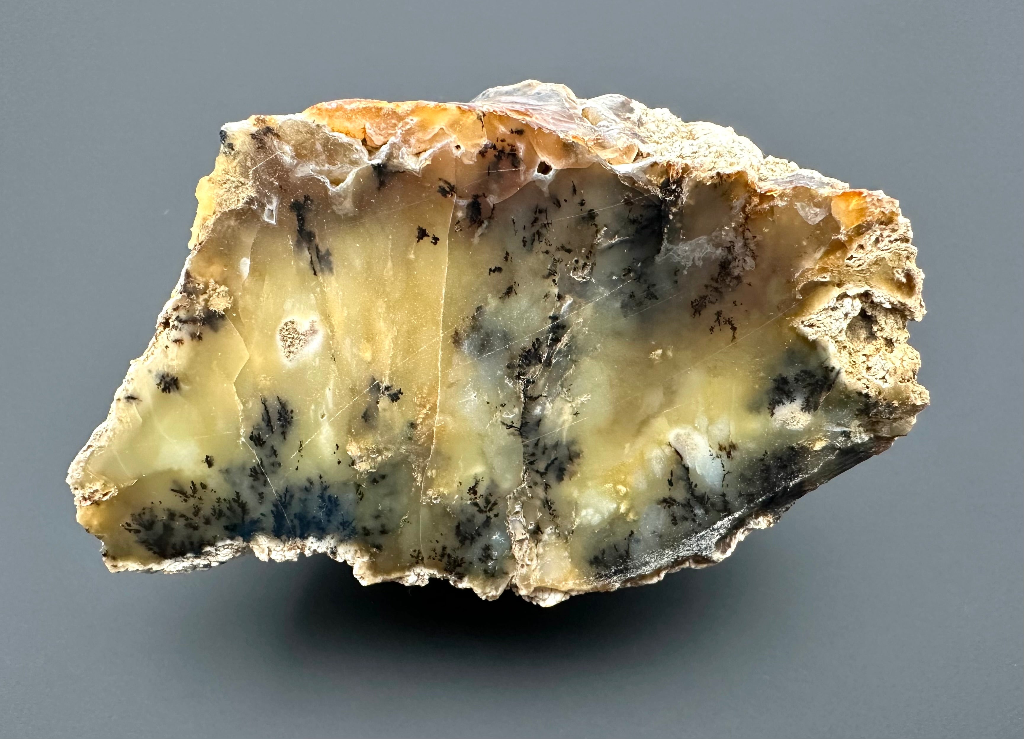 Opal – Bohouskovice, CZ - OPL005