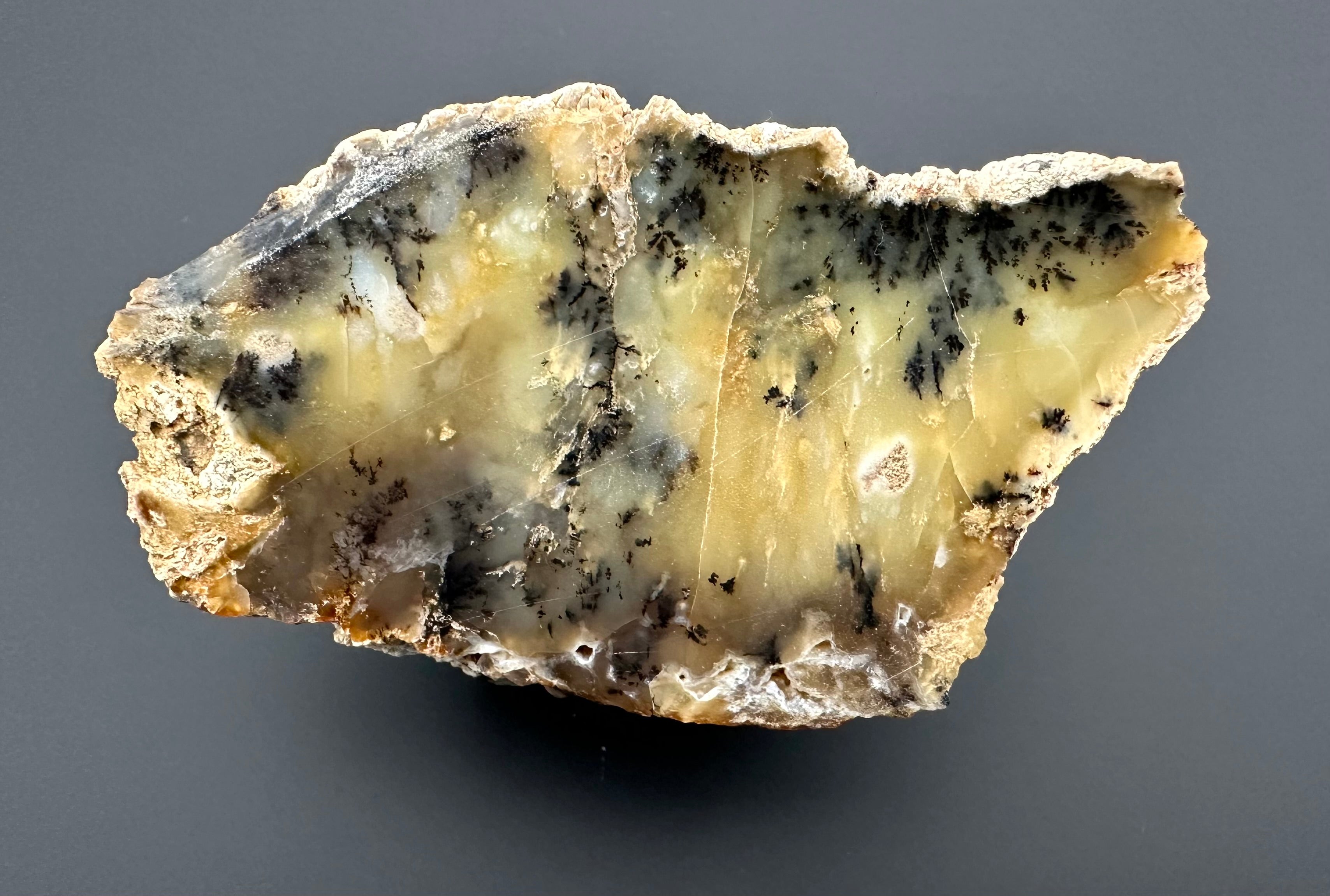 Opal – Bohouskovice, CZ