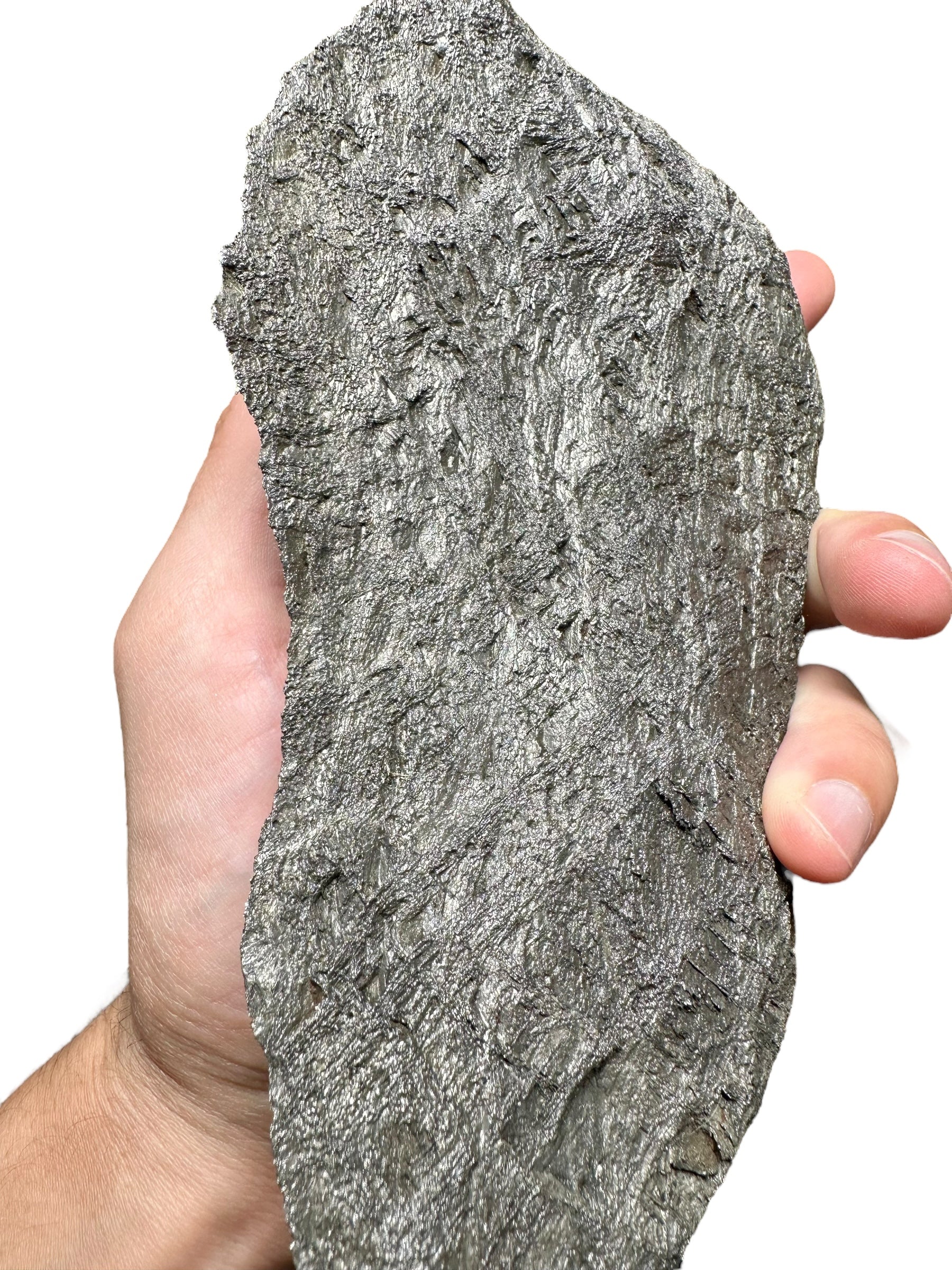Meteorite Muonionalusta 2664g – Norrbotten, Sweden - MEMO15