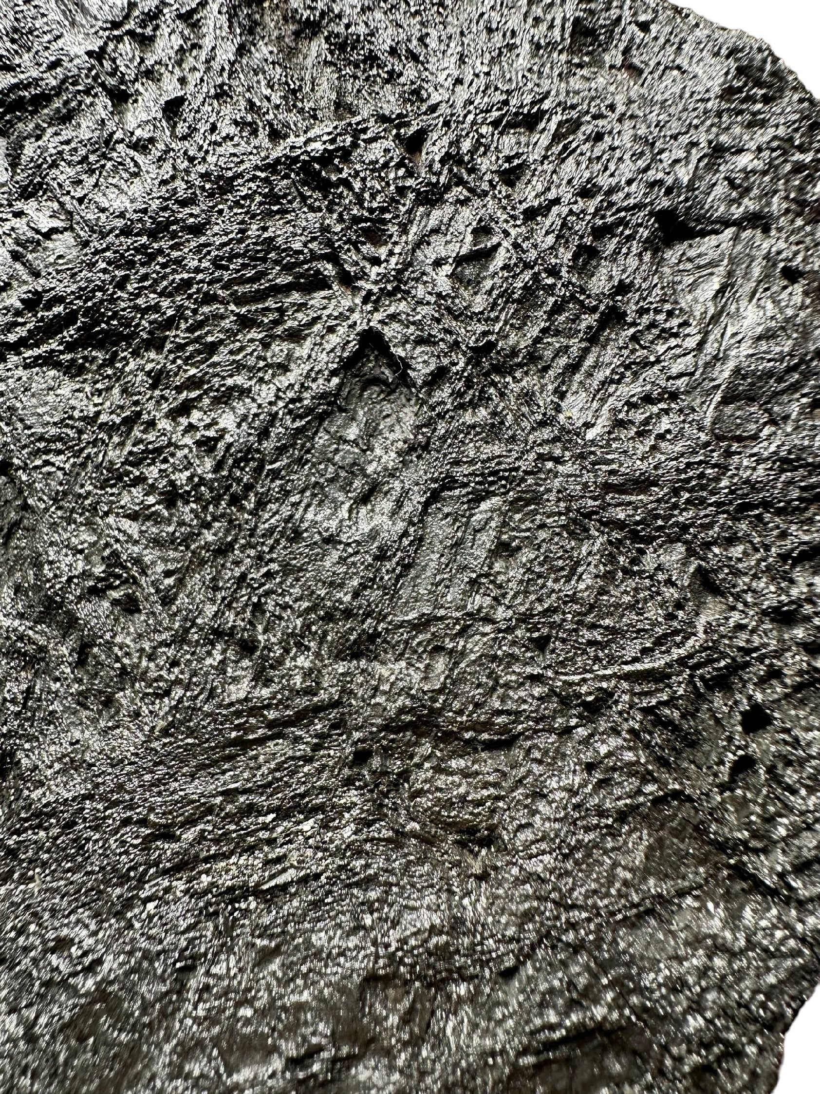 Meteorite Muonionalusta 2664g – Norrbotten, Sweden - MEMO15