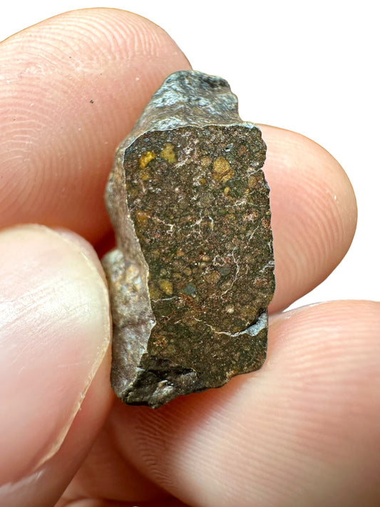 Meteorite Dar al Gani (DaG) – Sahara, Libya