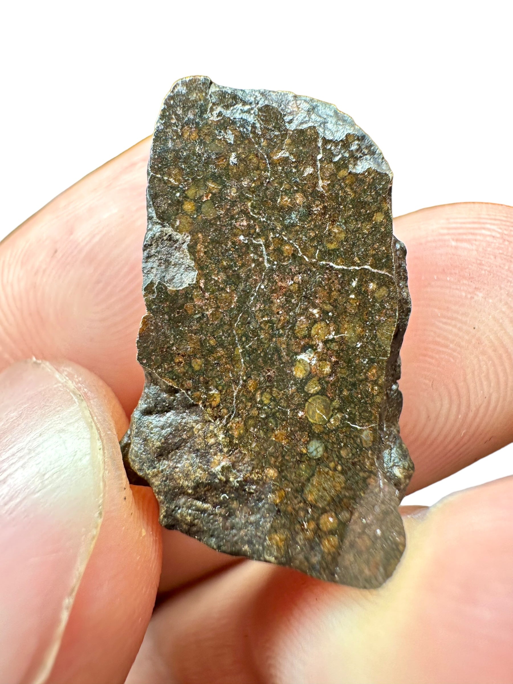 Meteorite Dar al Gani (DaG) 6,1g – Sahara, Libya