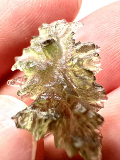 Moldavite – Besednice Jezkovna – 0,8g – V1010