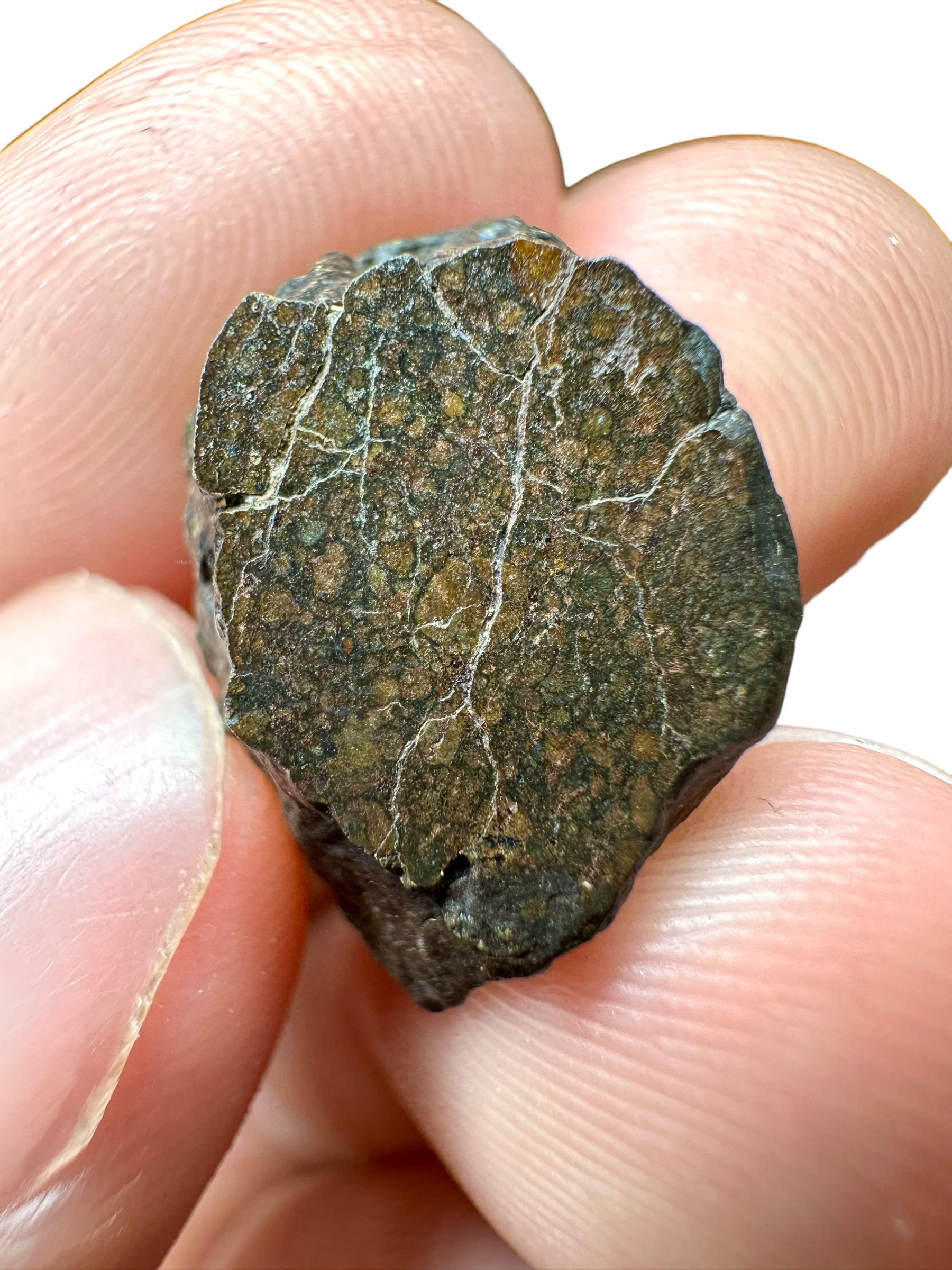 Meteorite Dar al Gani (DaG) 5,8g – Sahara, Libya