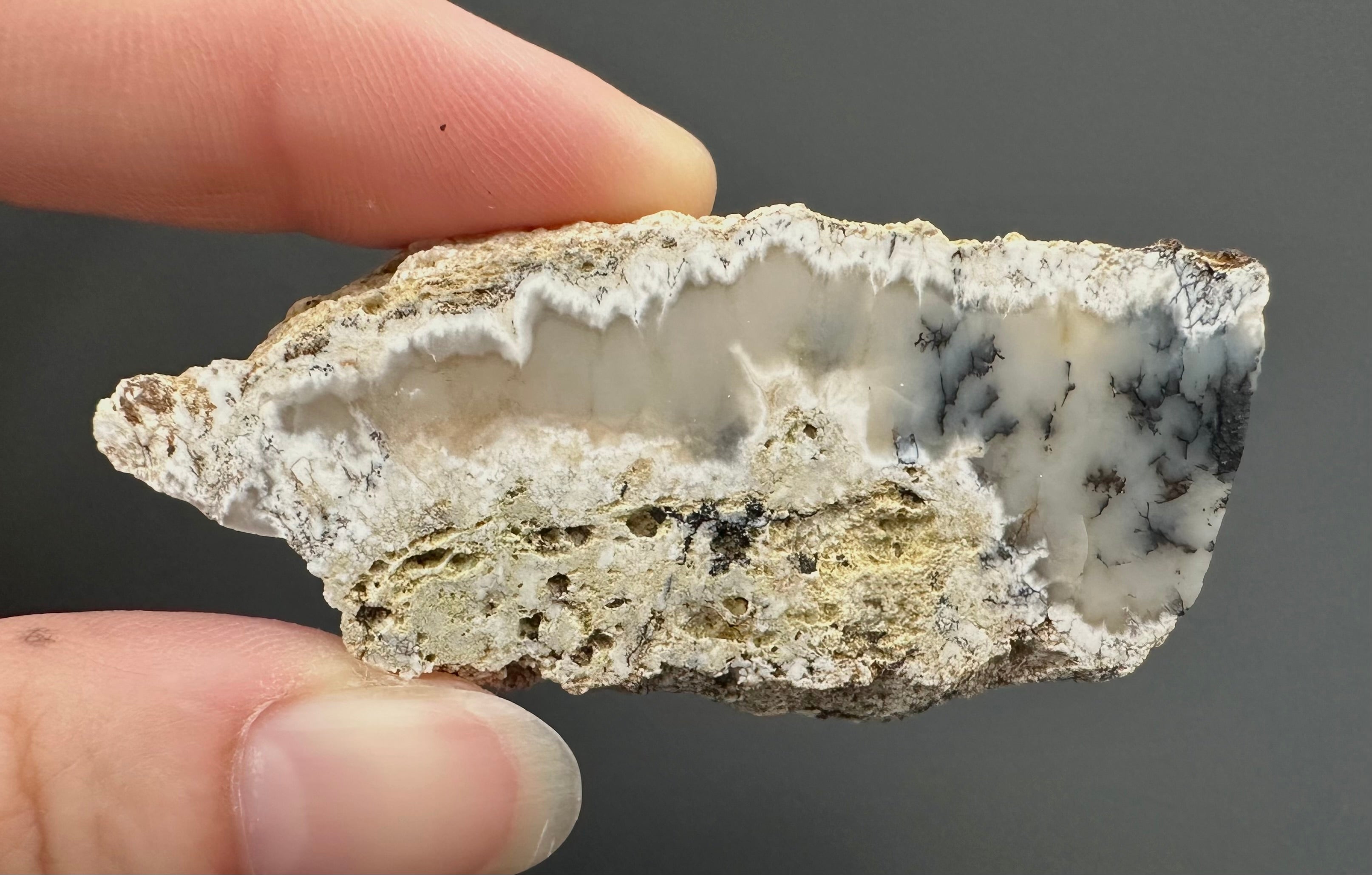 Opal – Bohouskovice, CZ - OPL006