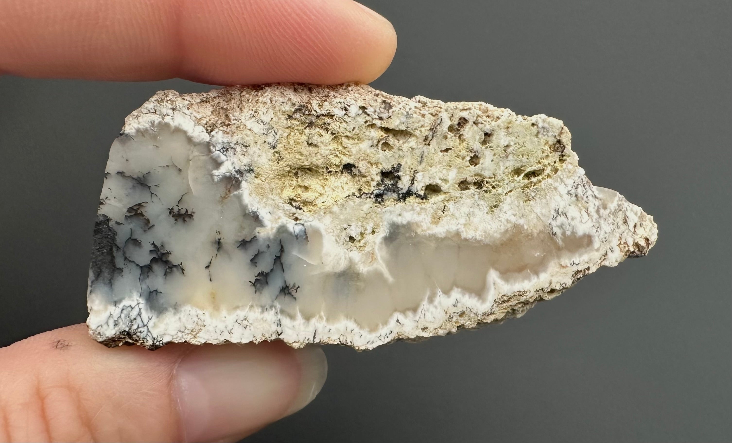 Opal – Bohouskovice, CZ