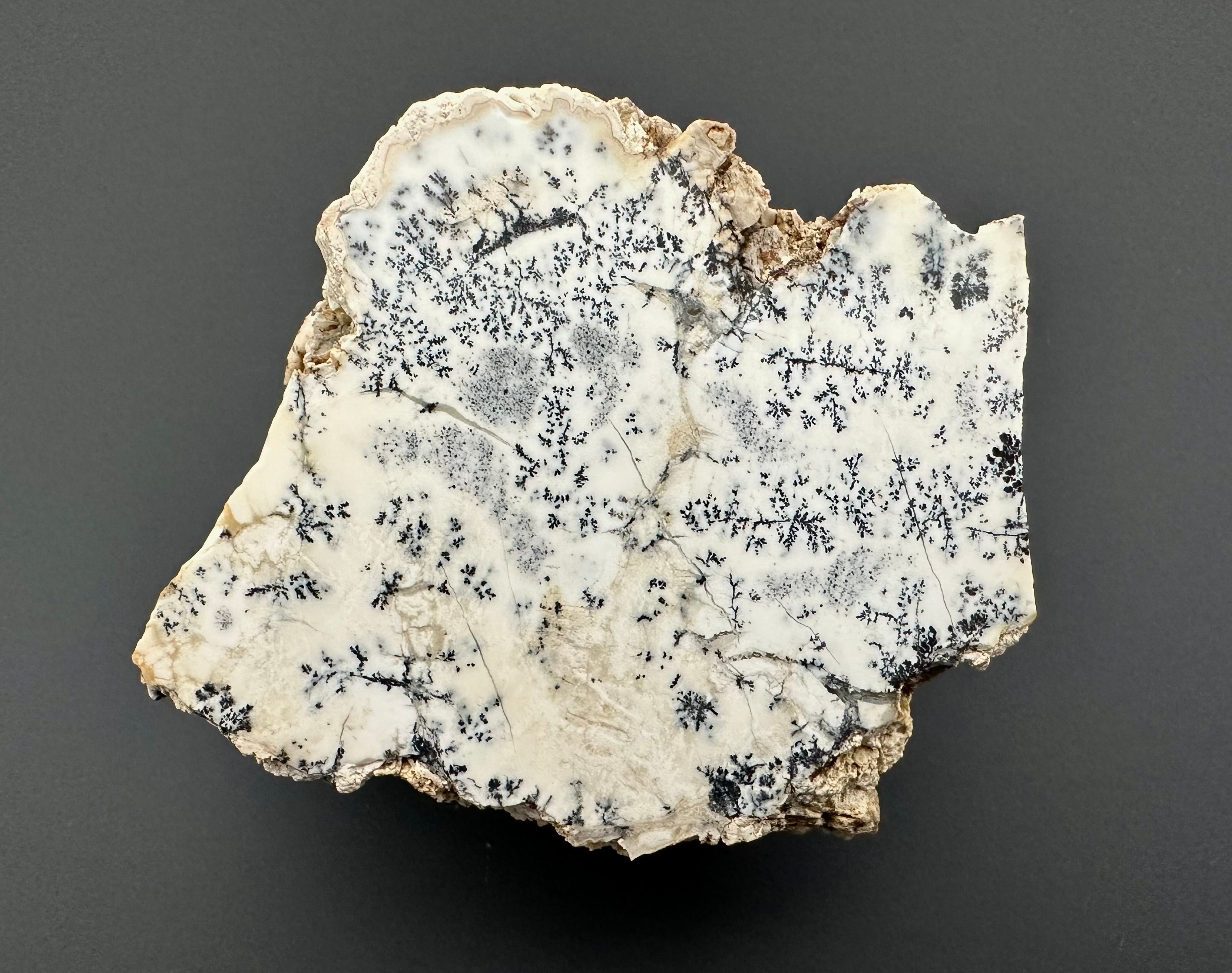 Opal – Bohouskovice, CZ - OPL007