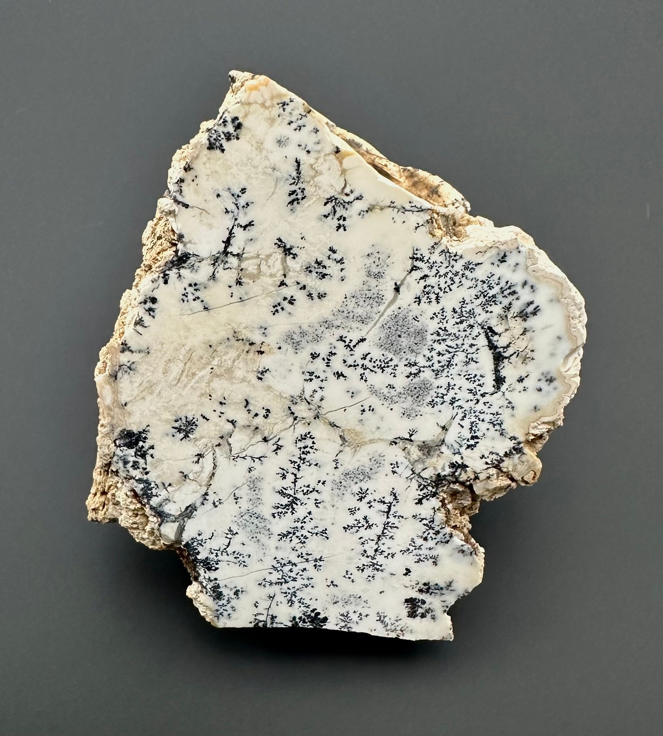 Opal – Bohouskovice, CZ