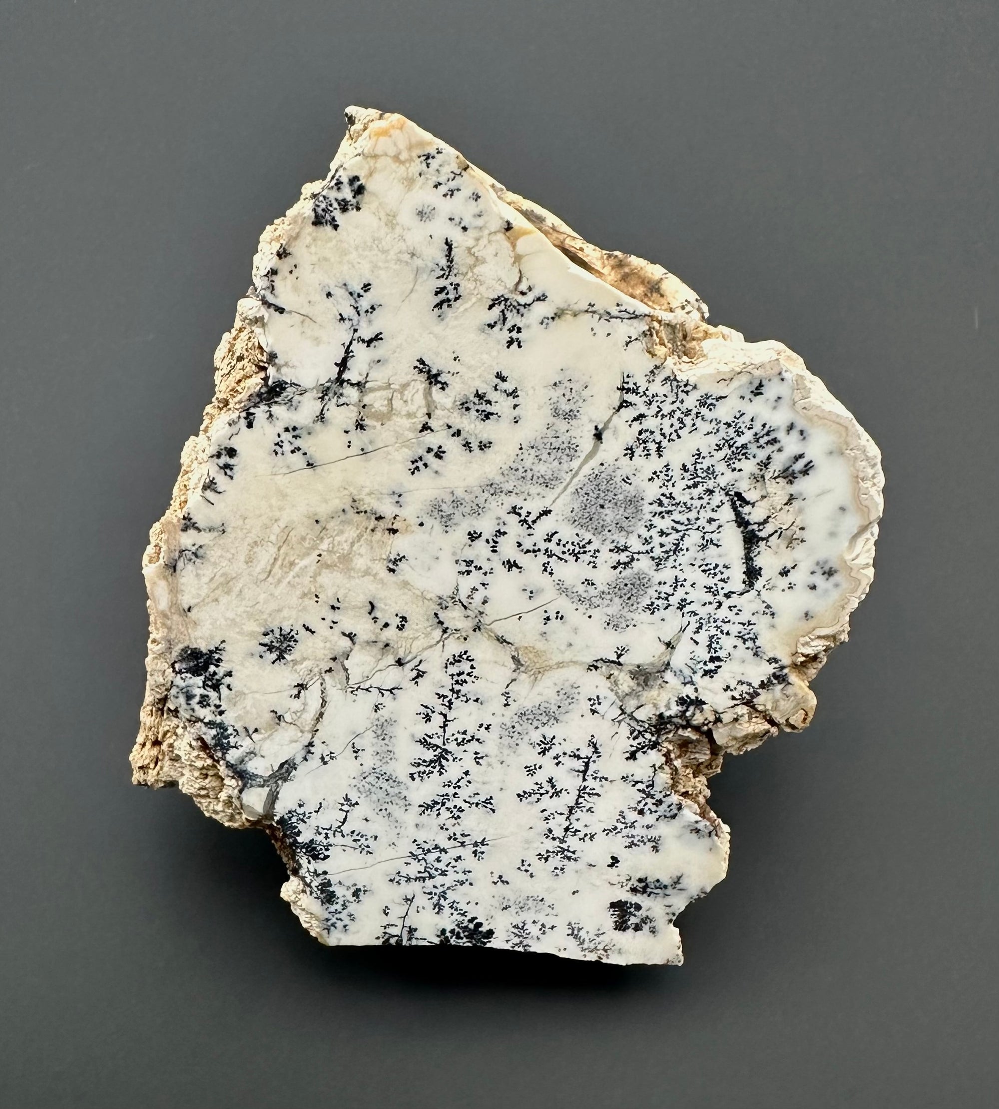 Opal – Bohouskovice, CZ