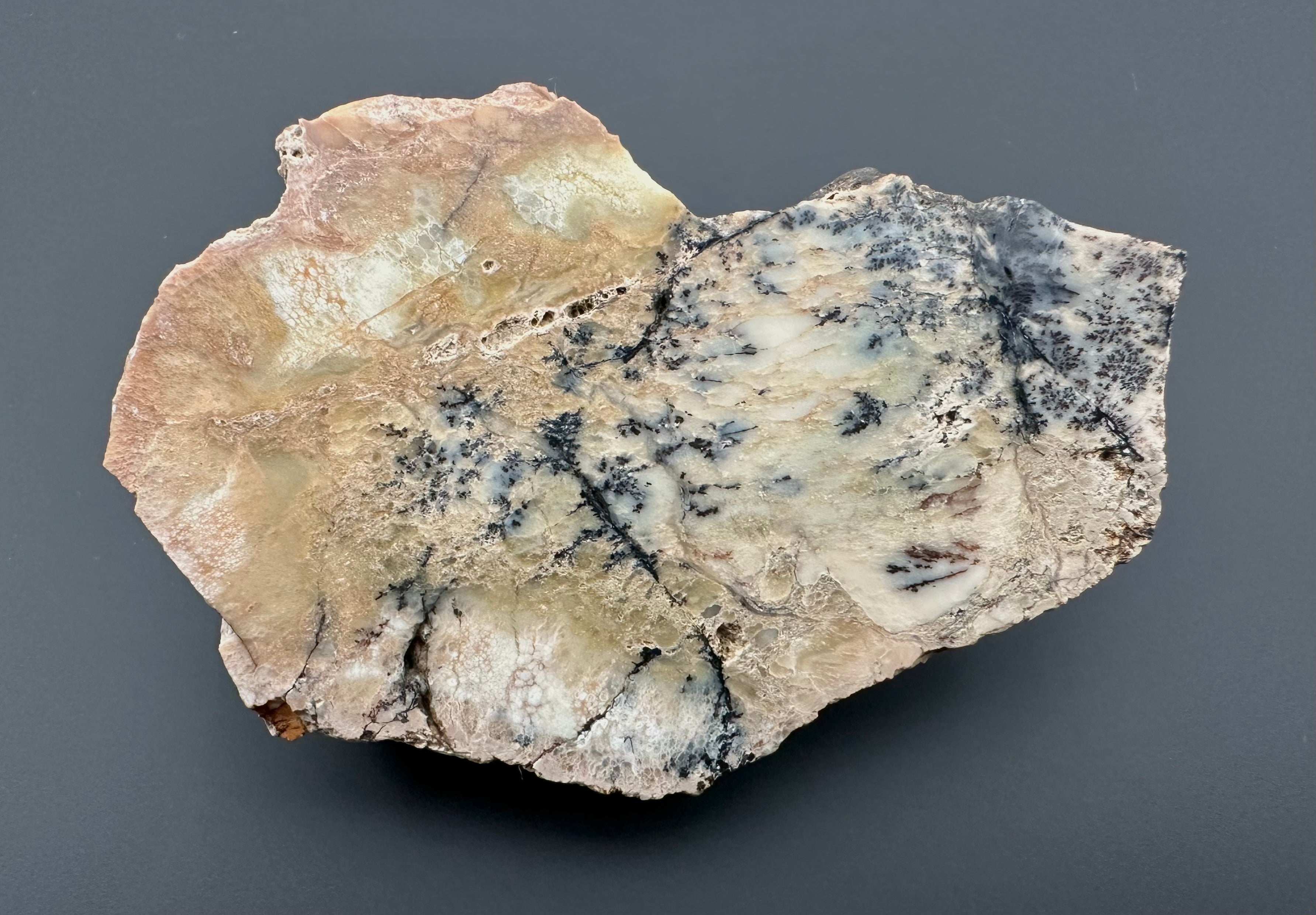 Opal – Bohouskovice, CZ - OPL009