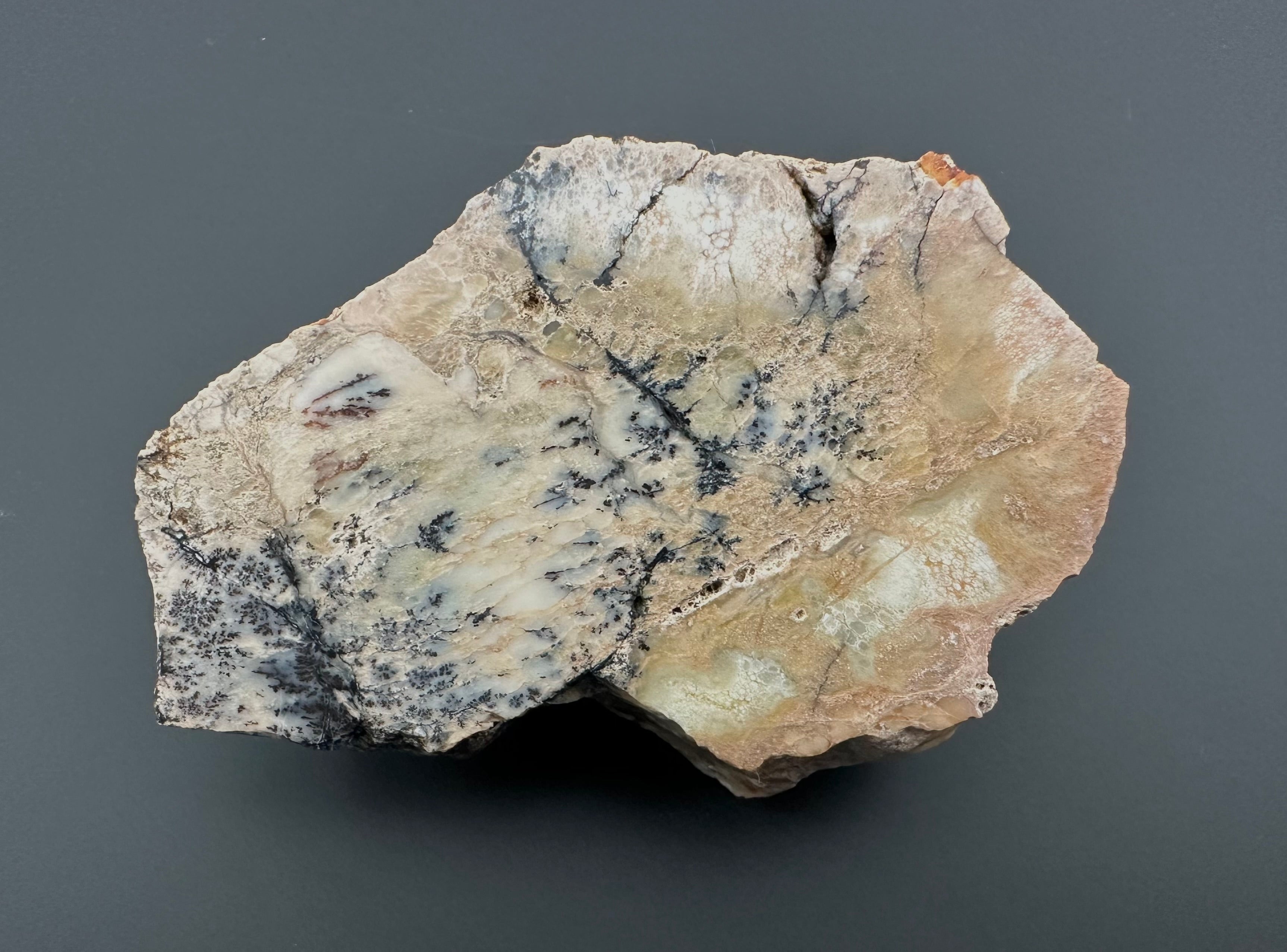 Opal – Bohouskovice, CZ