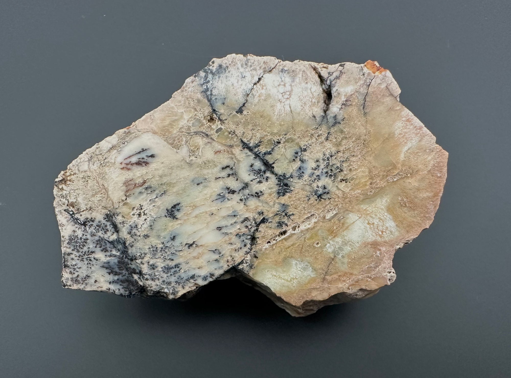 Opal – Bohouskovice, CZ