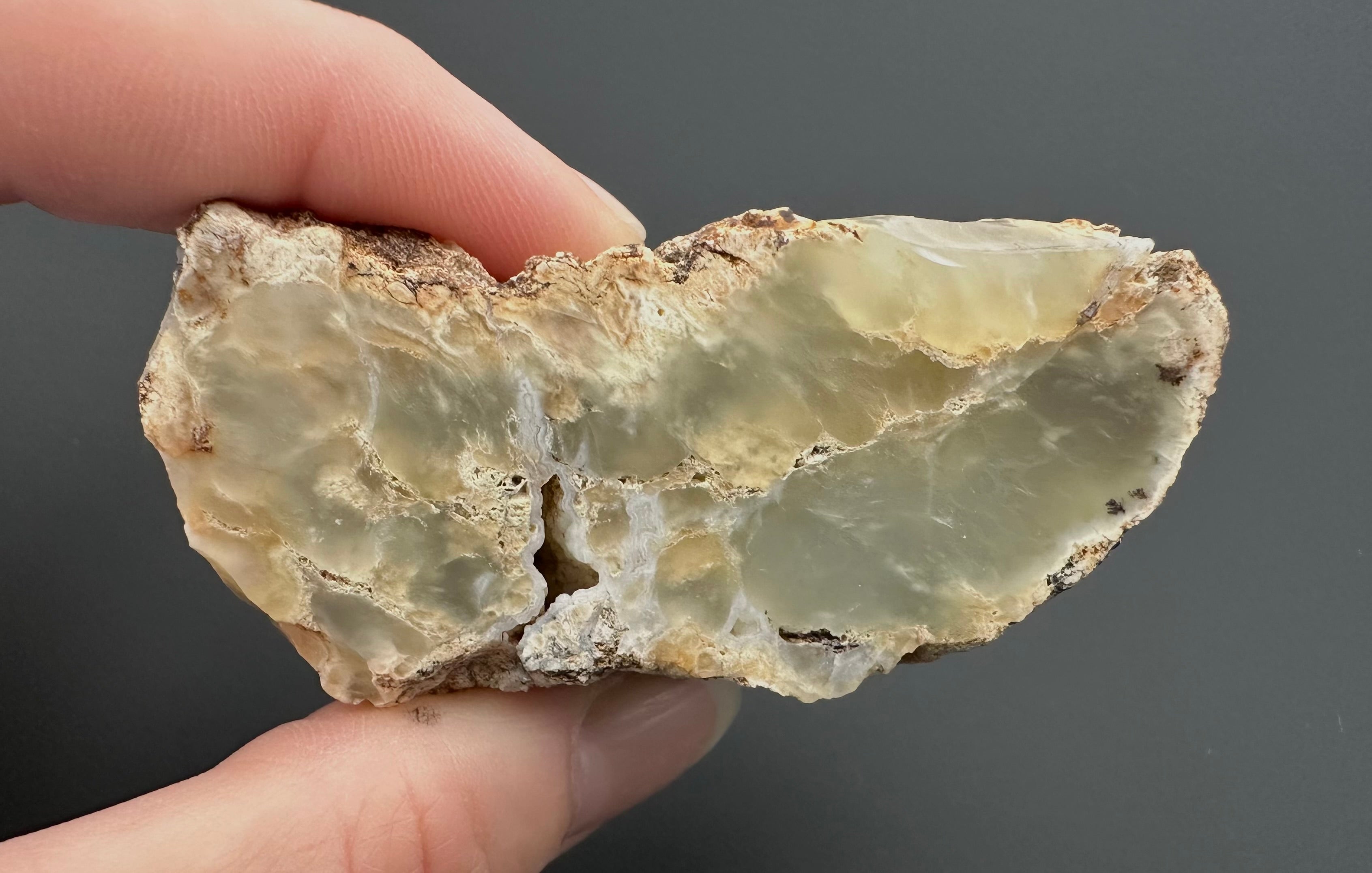 Opal – Bohouskovice, CZ - OPL012