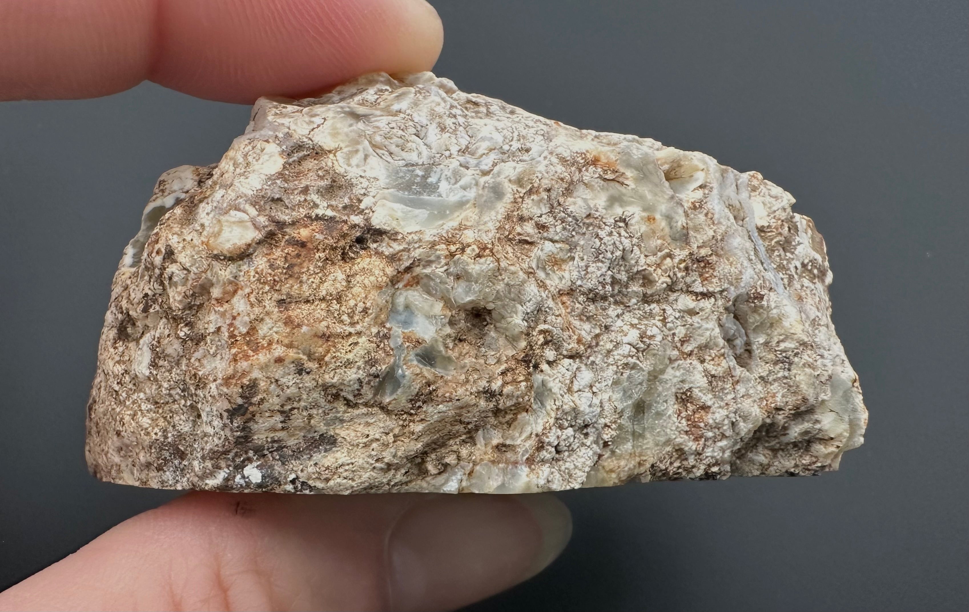 Opal – Bohouskovice, CZ - OPL012