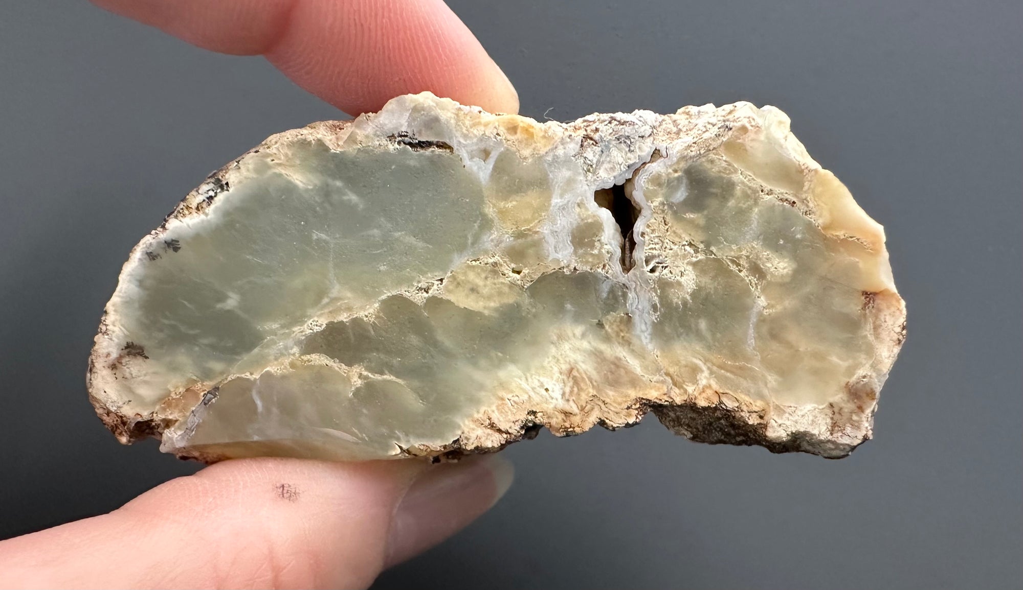 Opal – Bohouskovice, CZ