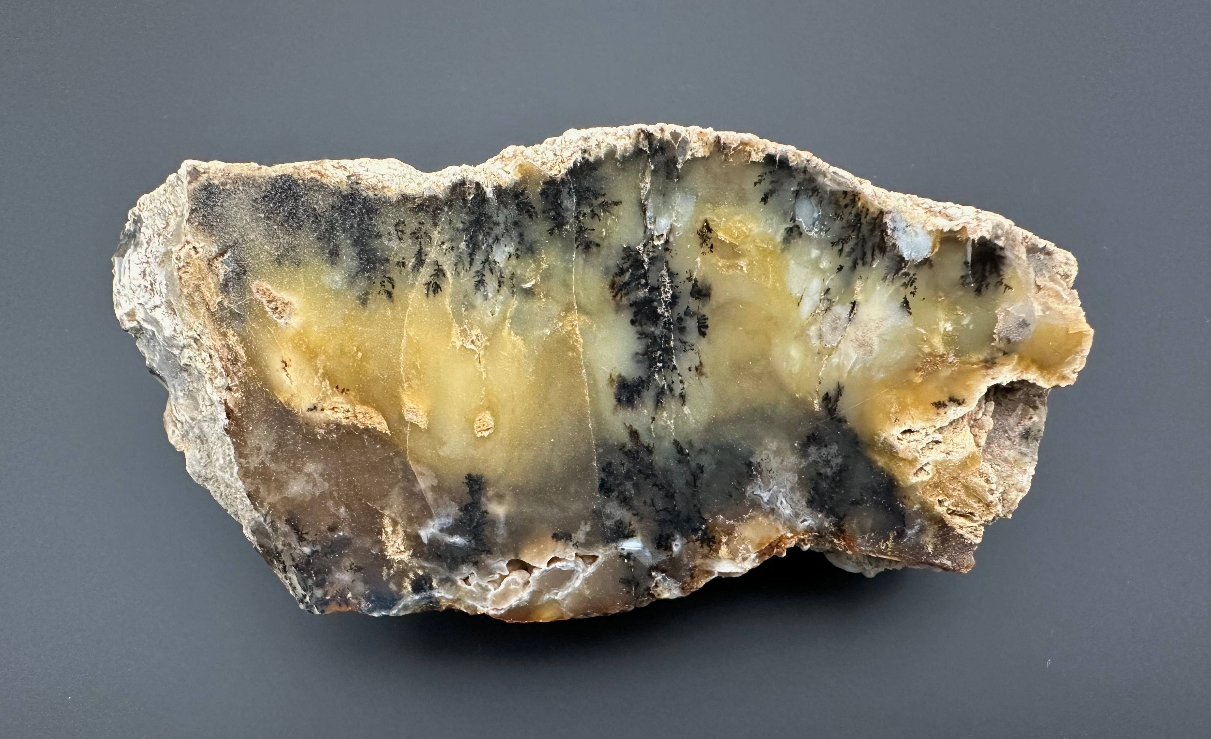 Opal – Bohouskovice, CZ - OPL013