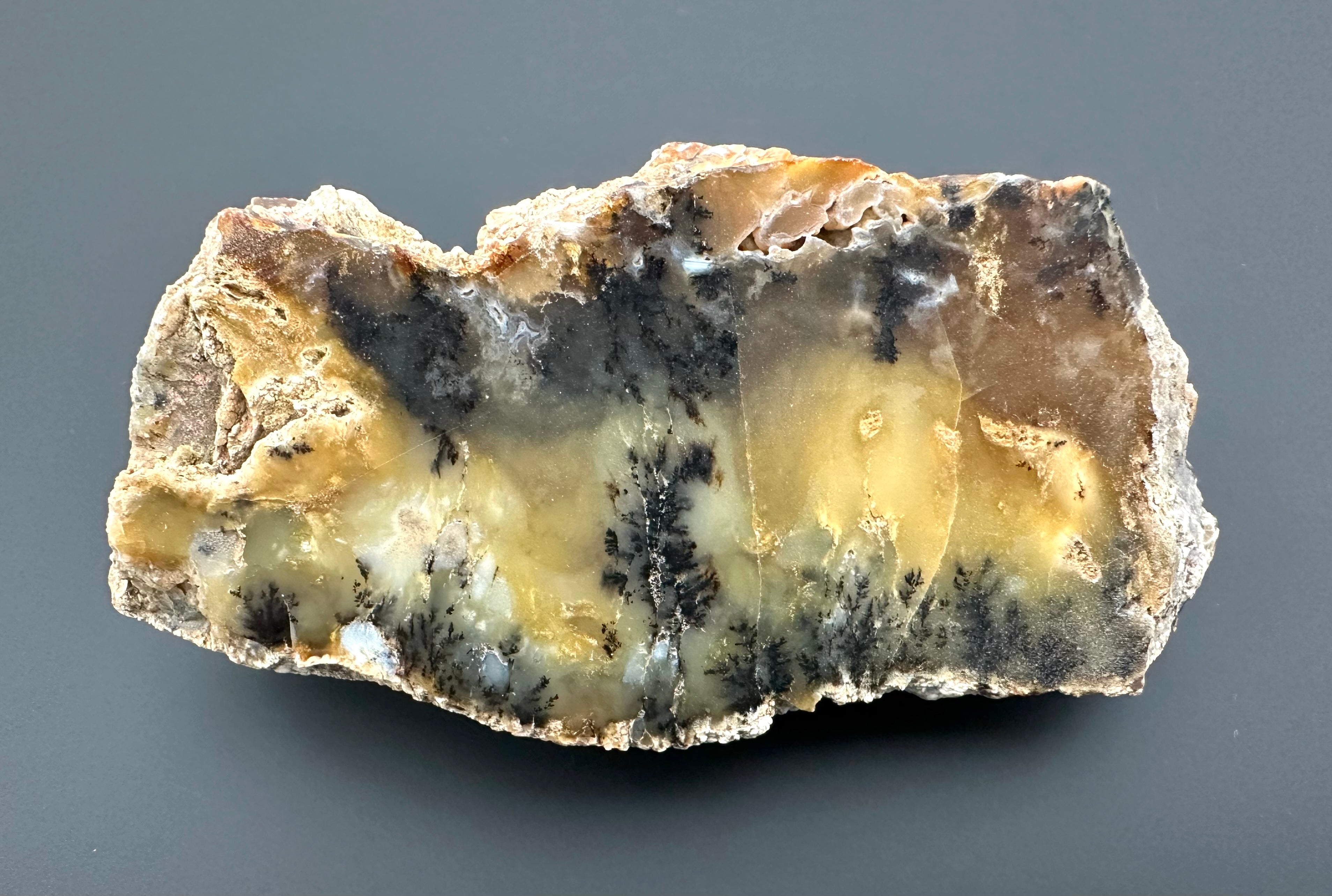 Opal – Bohouskovice, CZ
