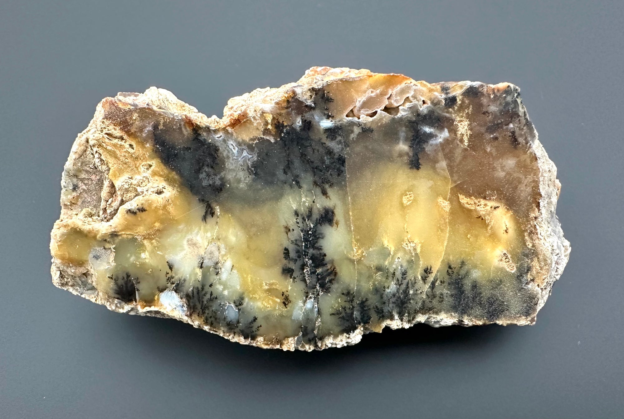 Opal – Bohouskovice, CZ