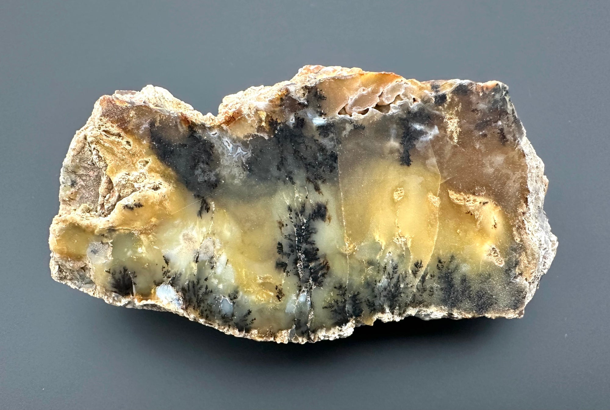 Opal – Bohouskovice, CZ